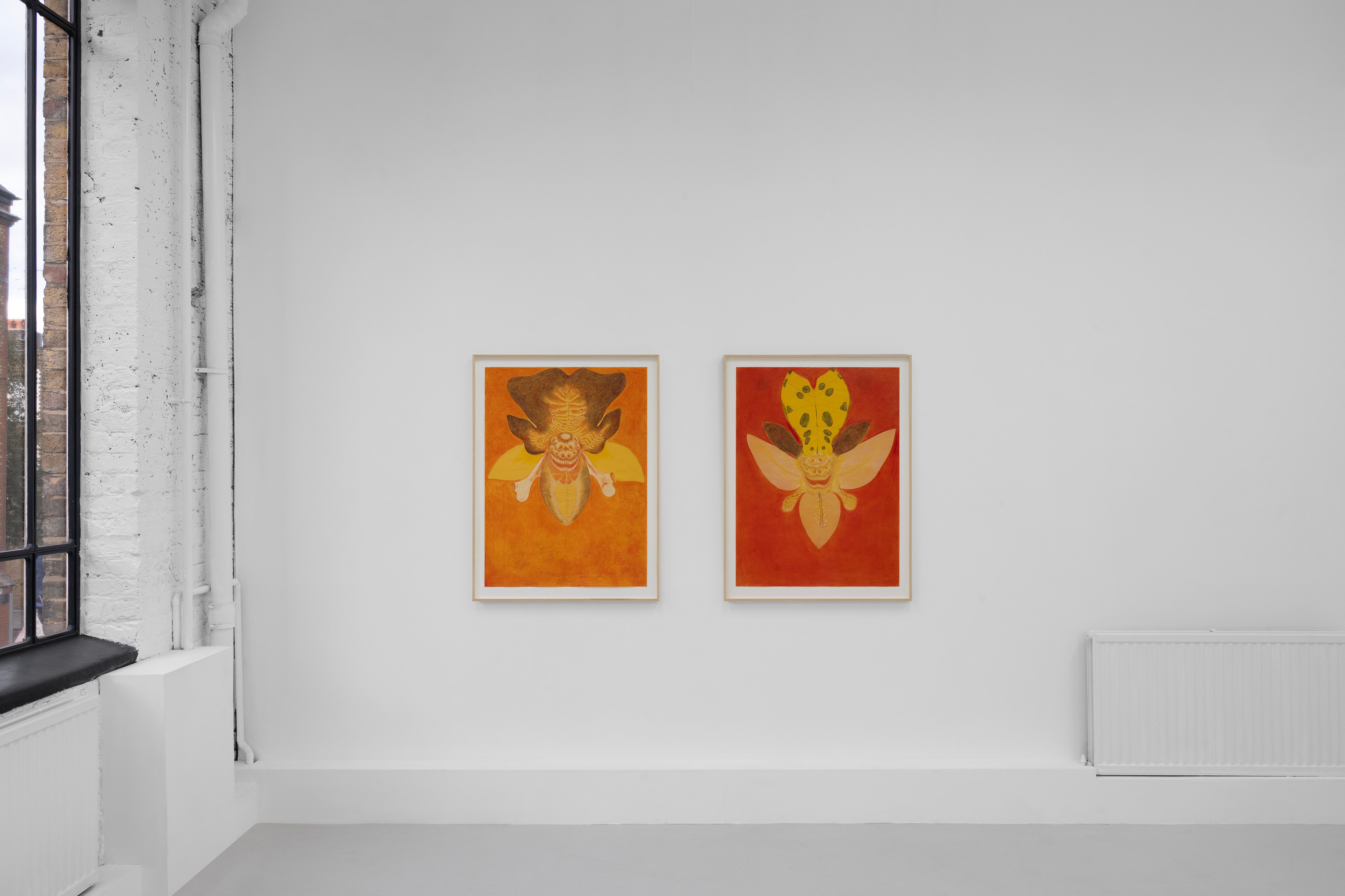 Javier Barrios, Cosmic Strips at Ilenia, photo 3