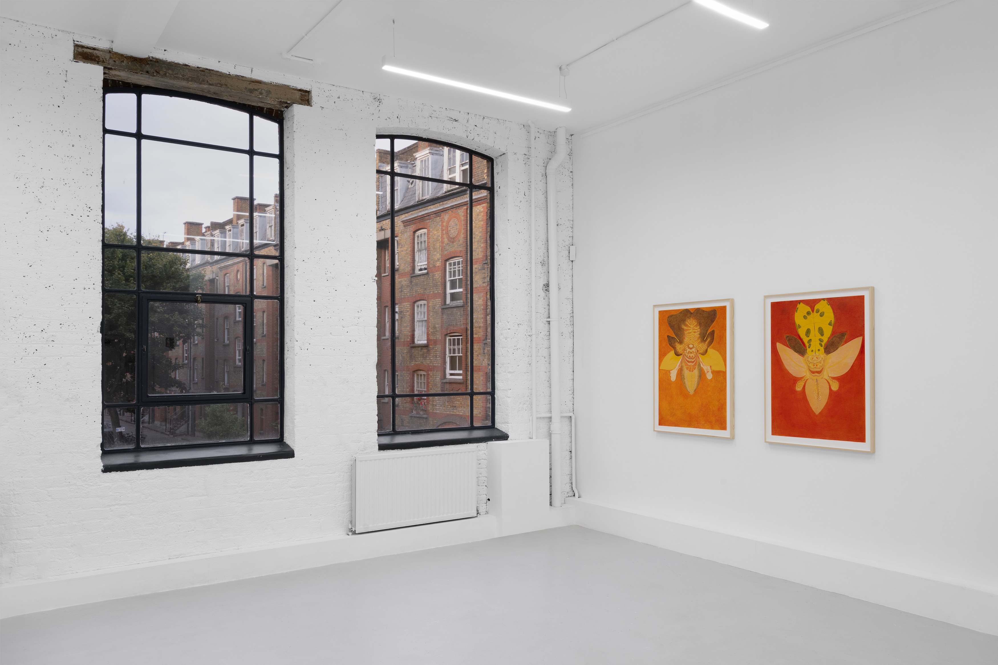 Javier Barrios, Cosmic Strips at Ilenia, photo 5