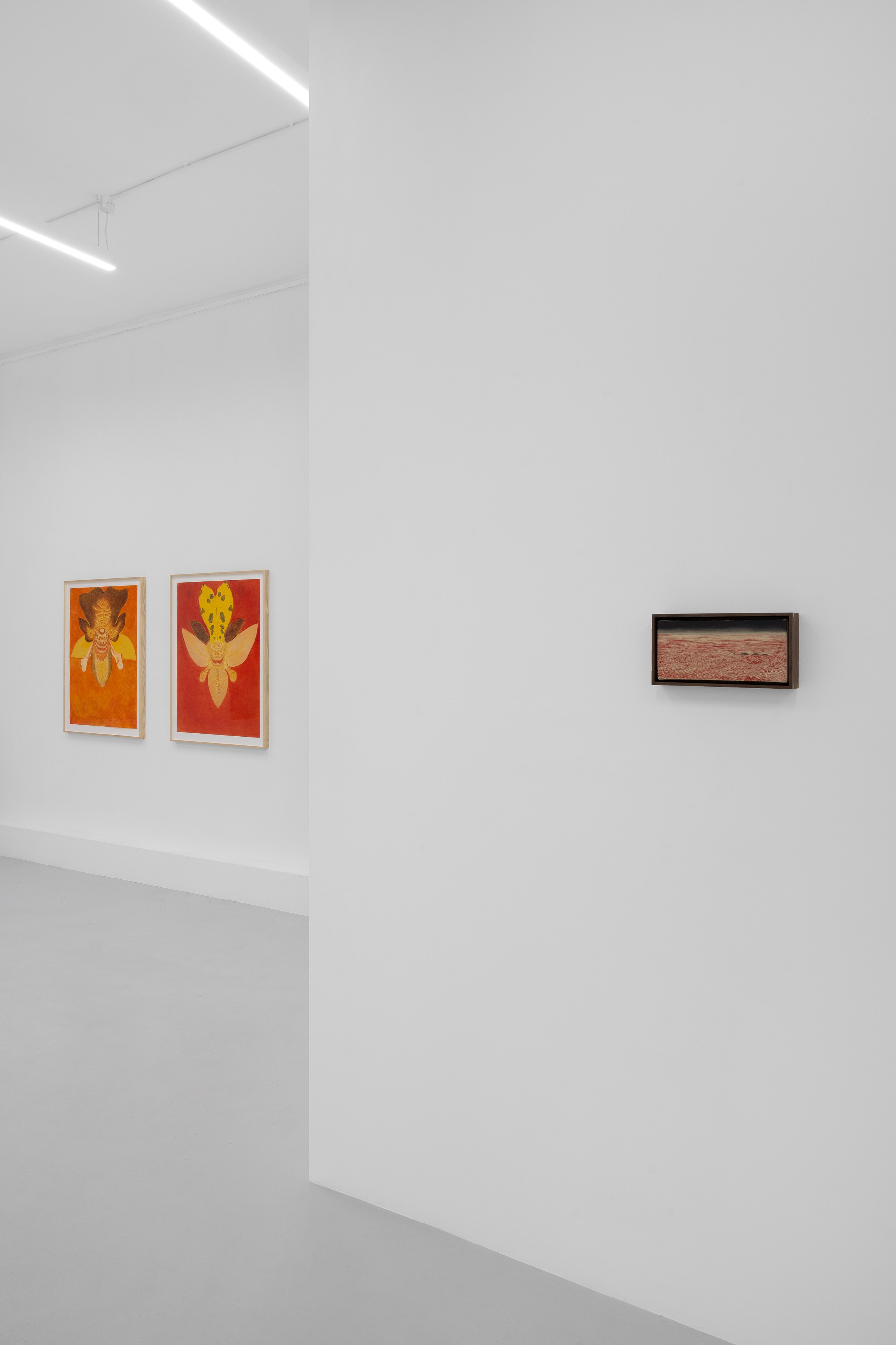 Javier Barrios, Cosmic Strips at Ilenia, photo 6