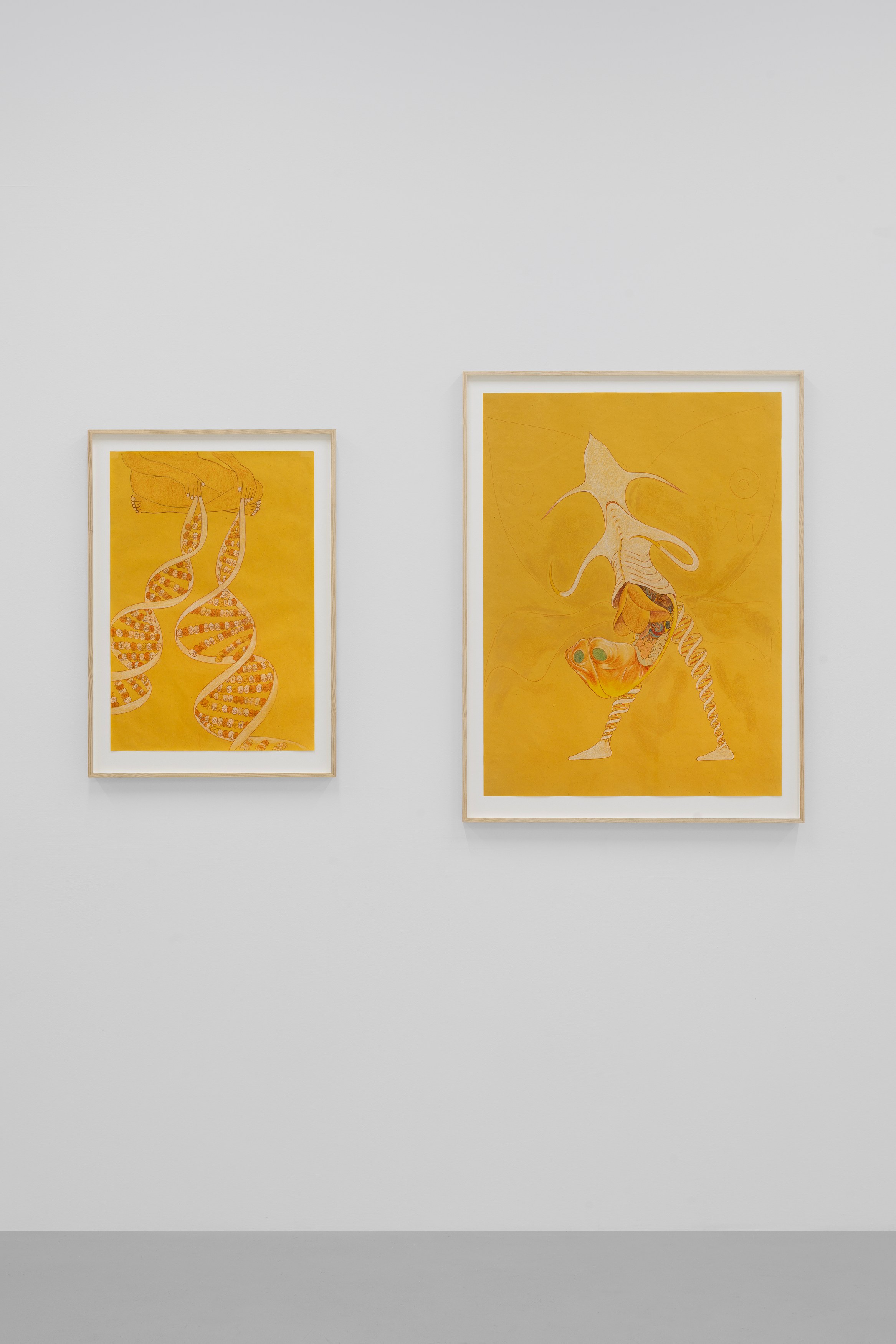 Javier Barrios, Cosmic Strips at Ilenia, photo 9