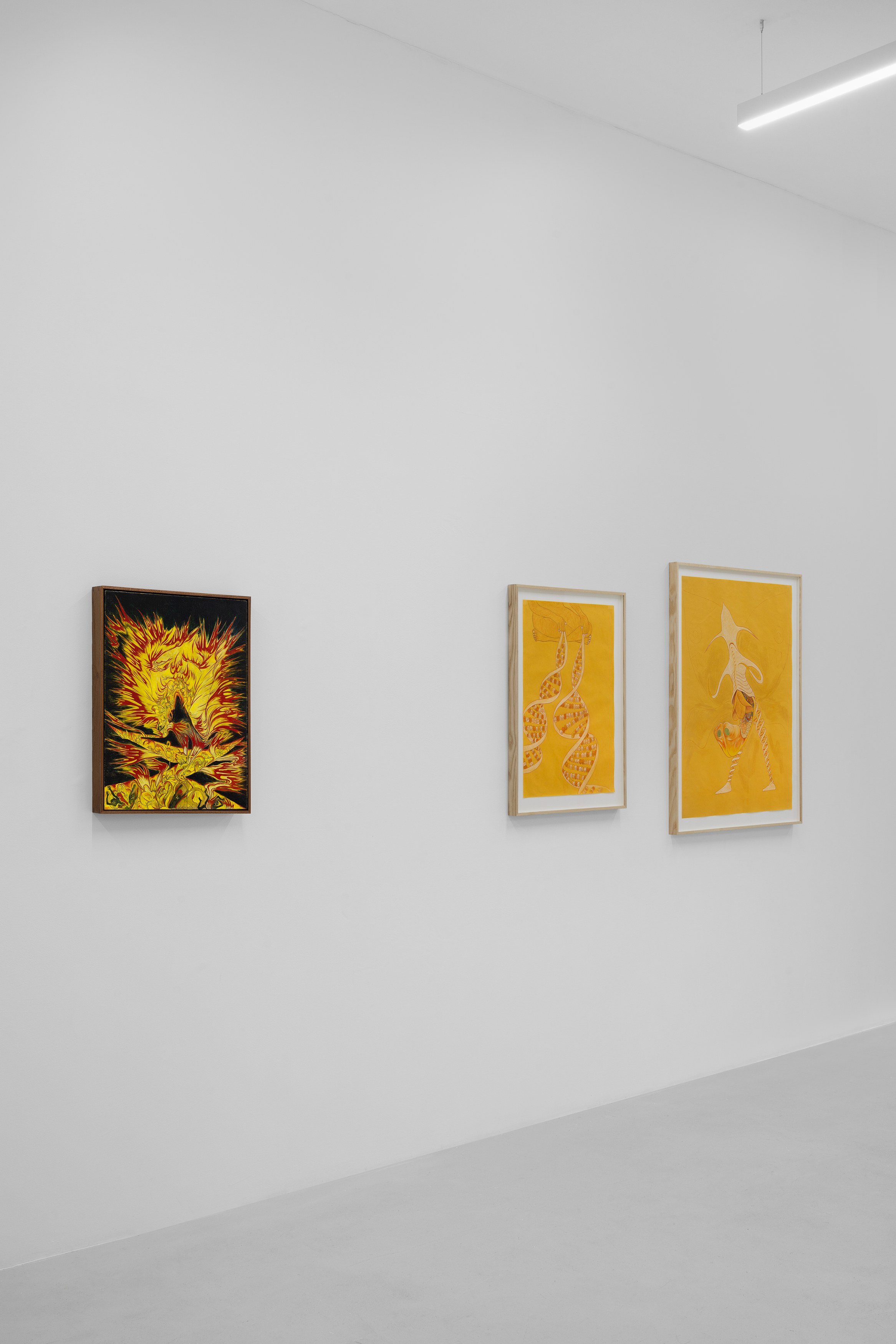 Javier Barrios, Cosmic Strips at Ilenia, photo 11
