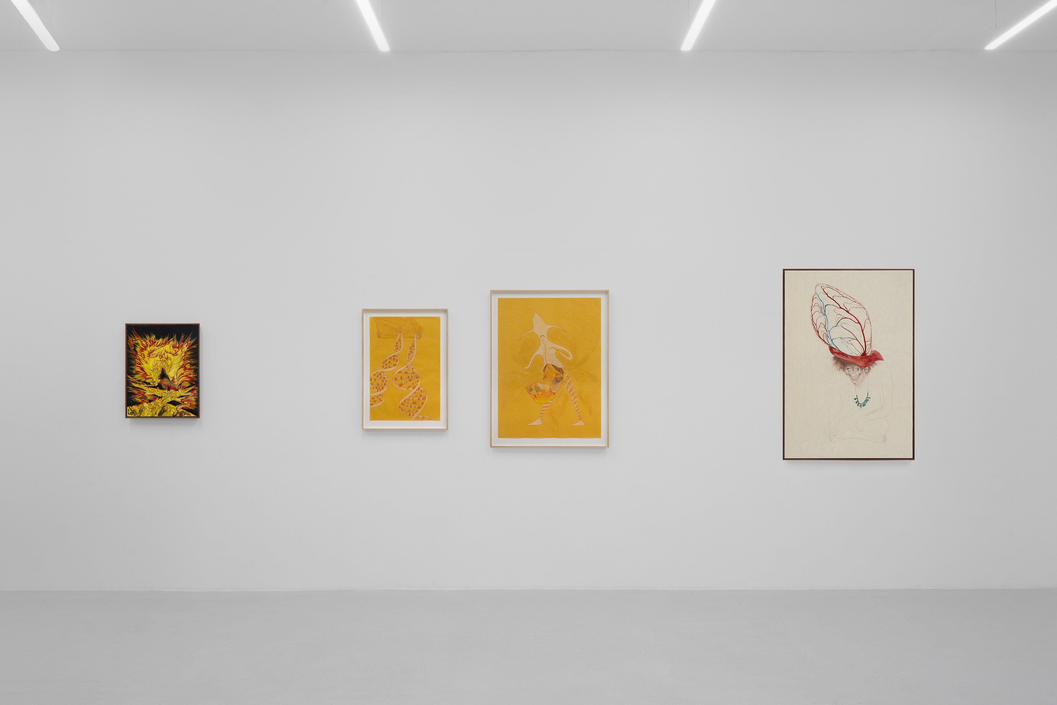Javier Barrios, Cosmic Strips at Ilenia, photo 14