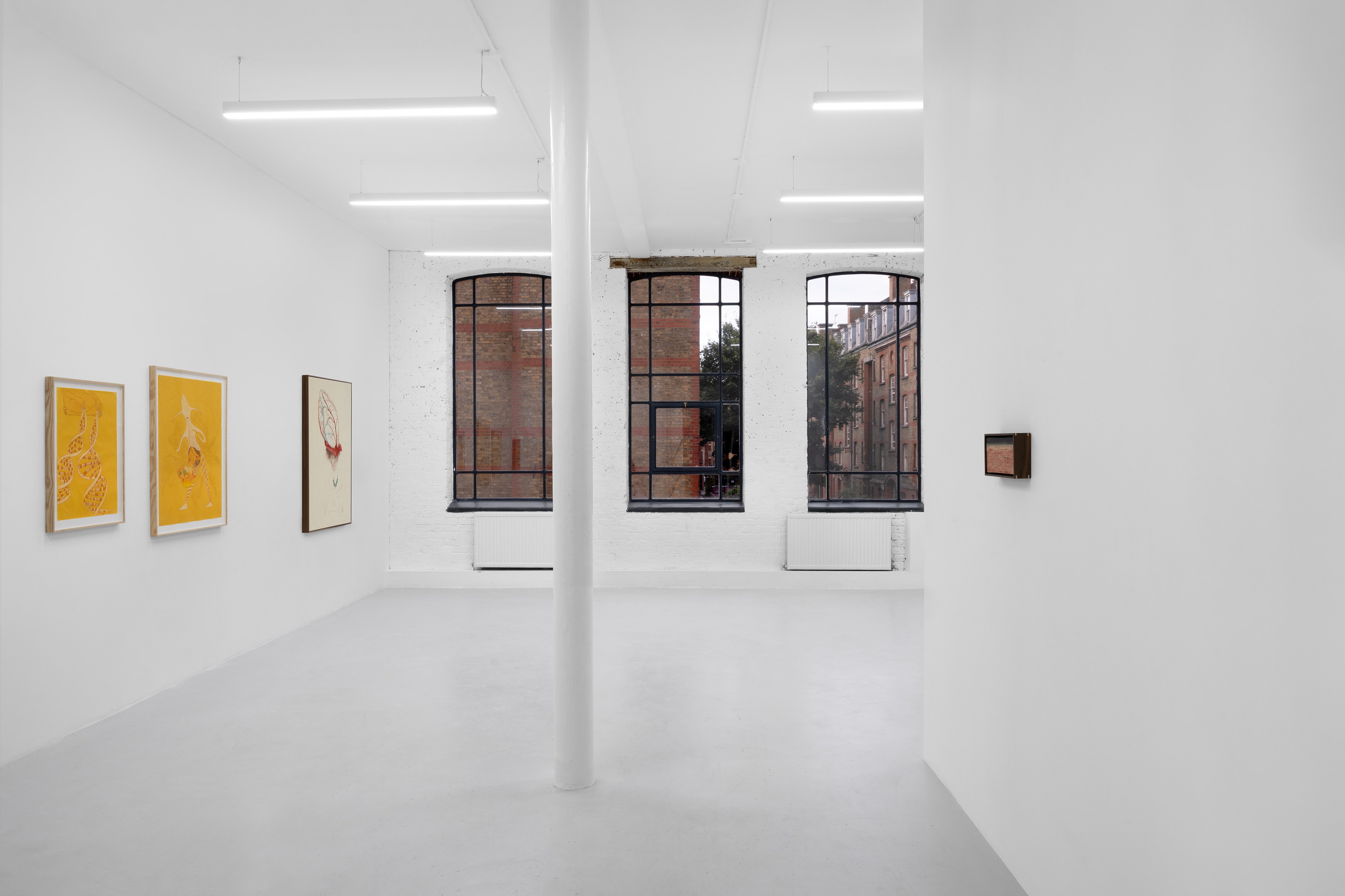 Javier Barrios, Cosmic Strips at Ilenia, photo 17