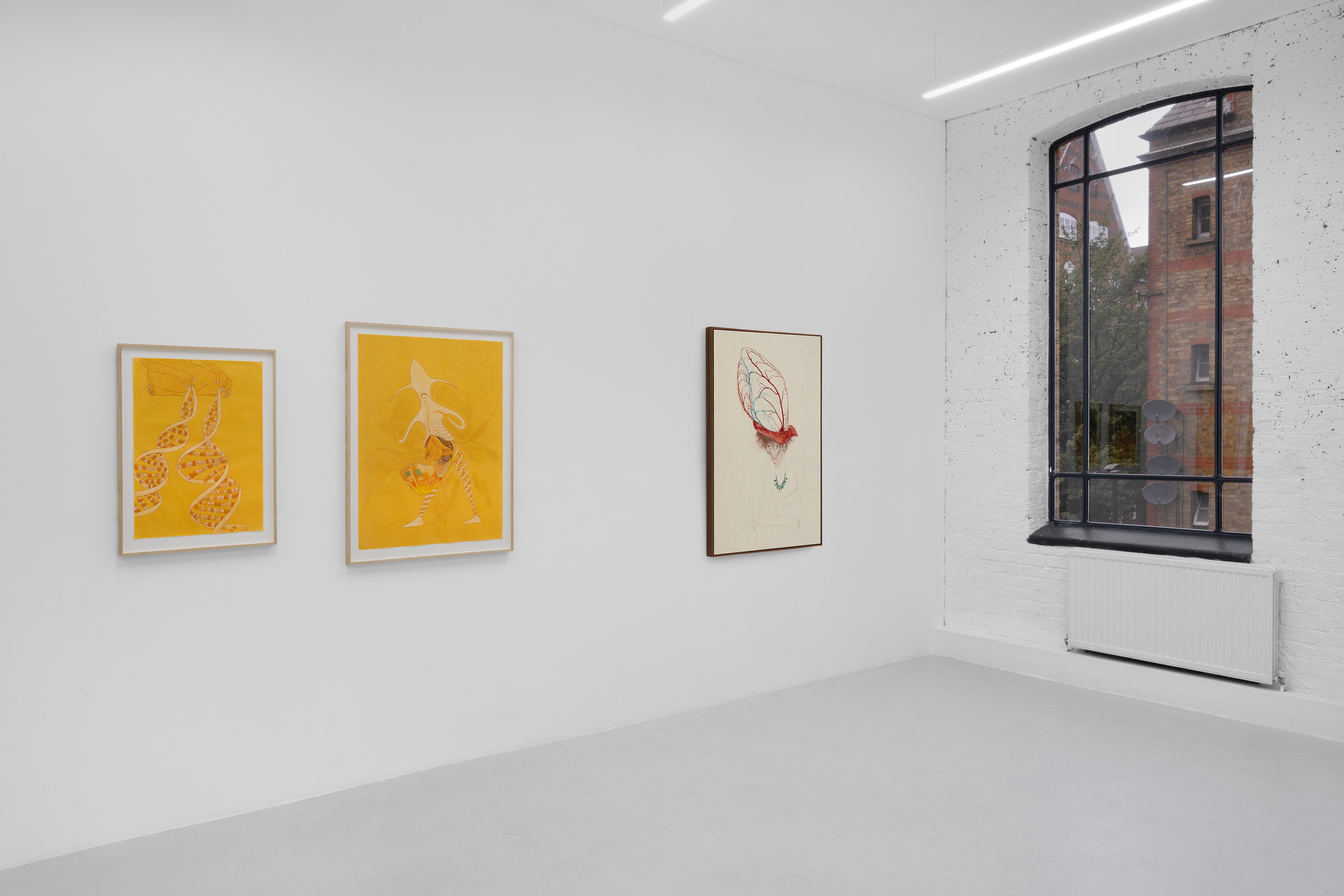 Javier Barrios, Cosmic Strips at Ilenia, photo 16