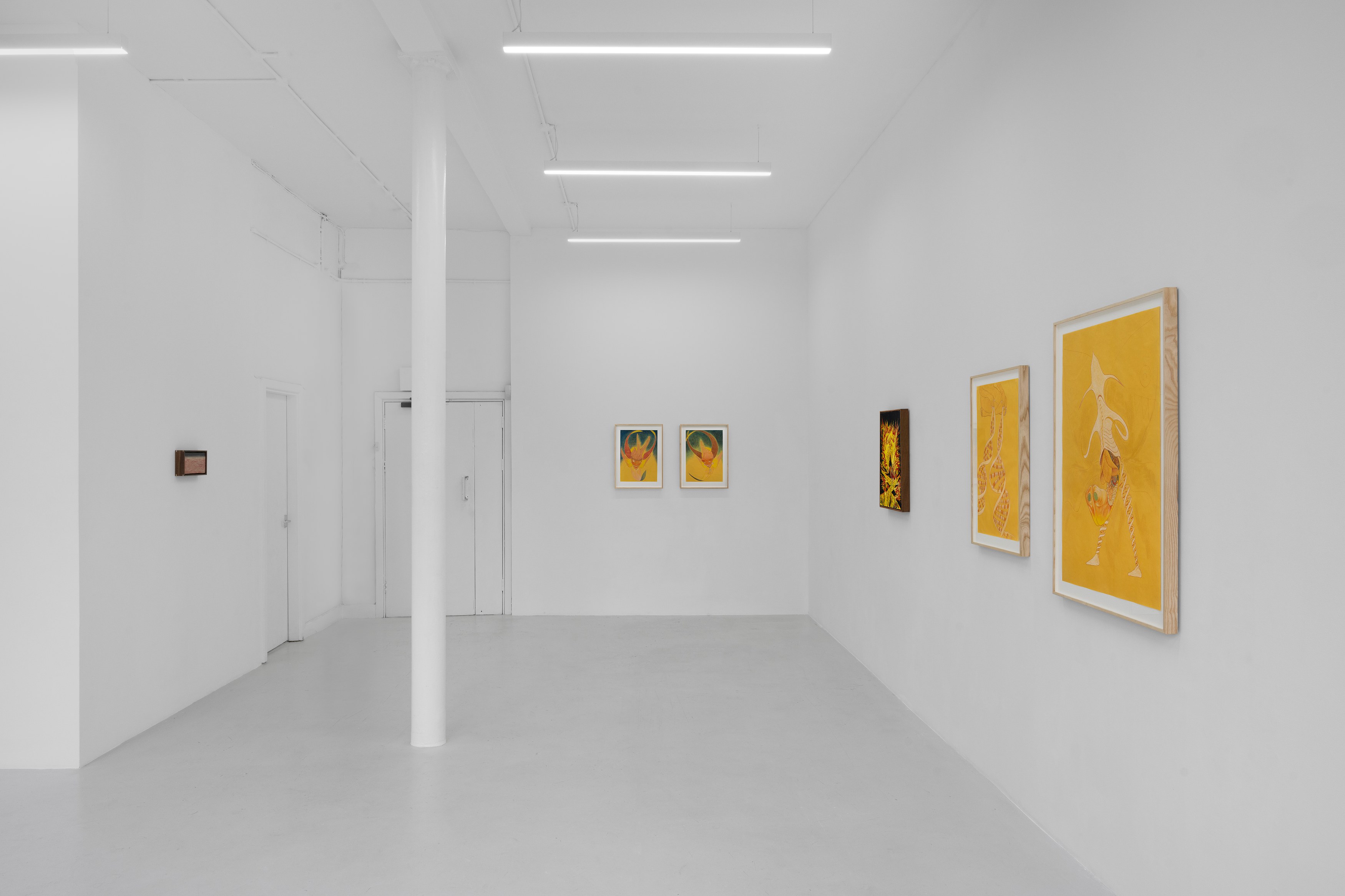 Javier Barrios, Cosmic Strips at Ilenia, photo 20