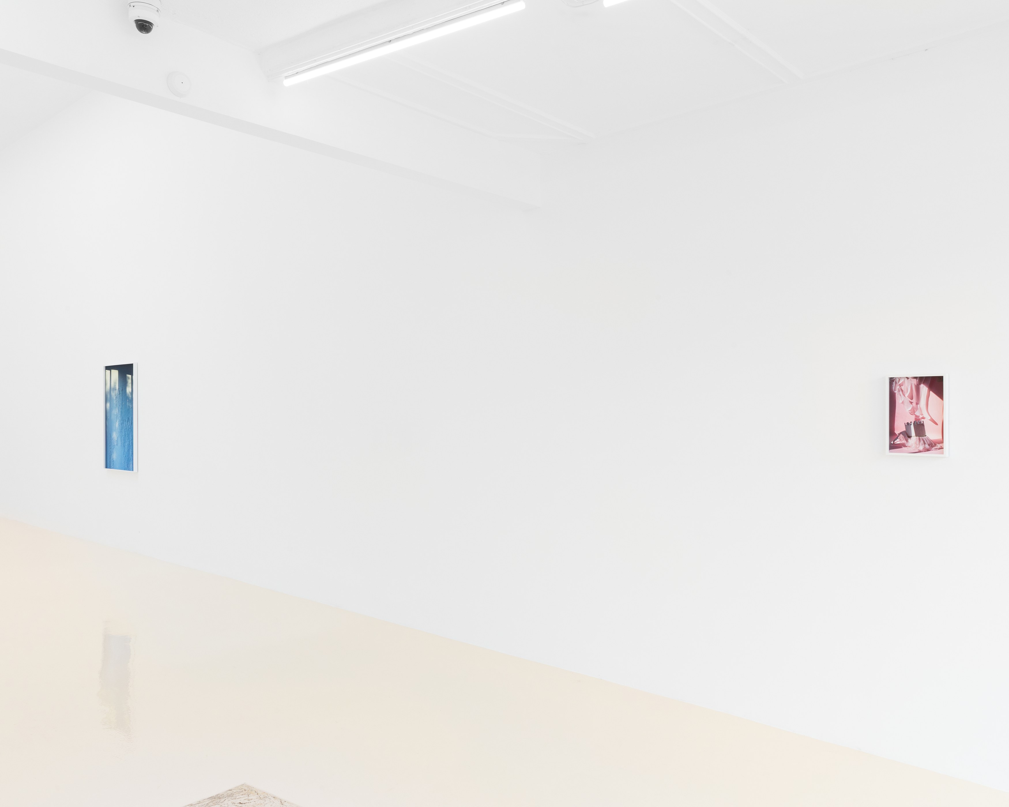 David Gilbert, I Capture the Castle at Chris Sharp Gallery, photo 3