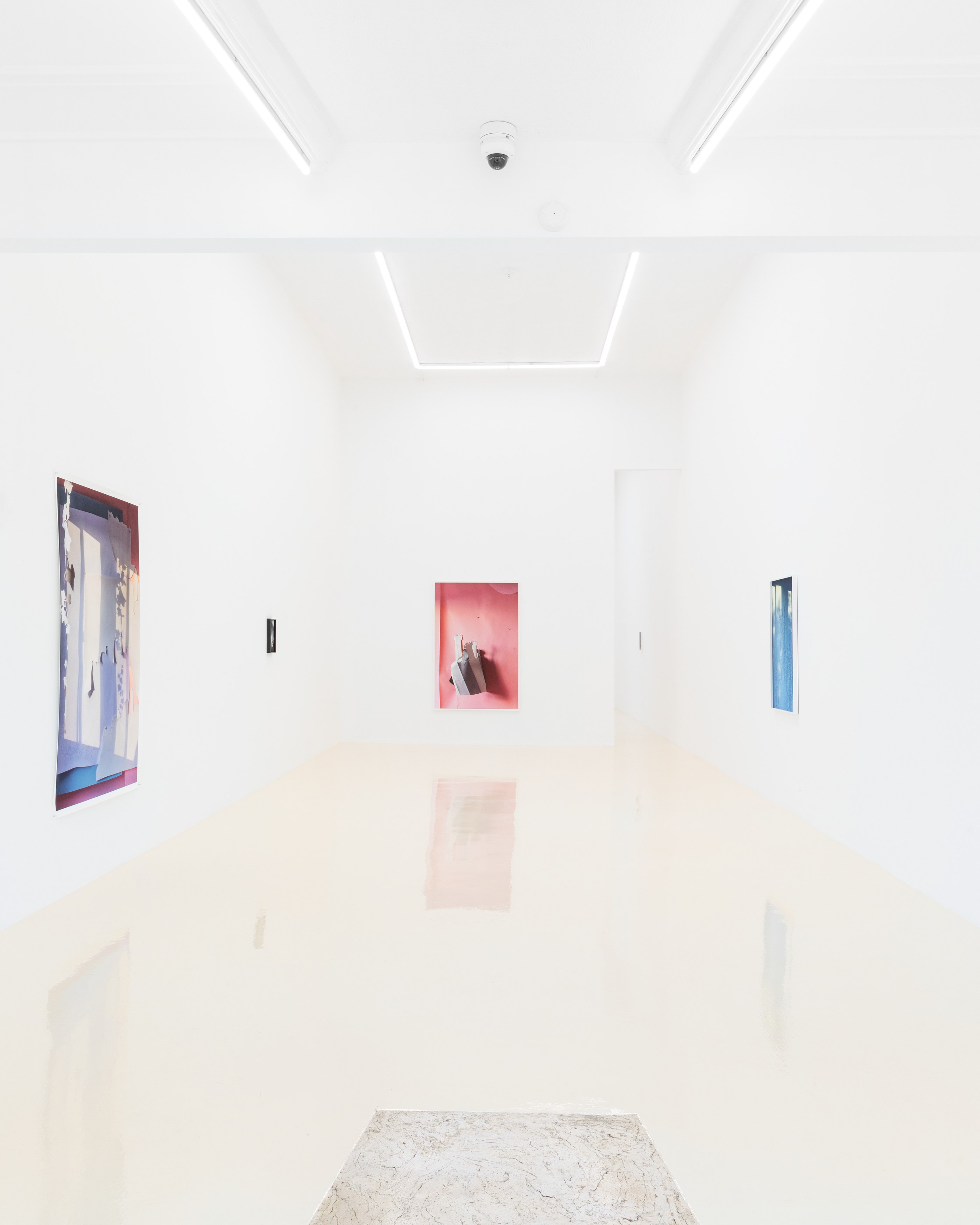 David Gilbert, I Capture the Castle at Chris Sharp Gallery, photo 2