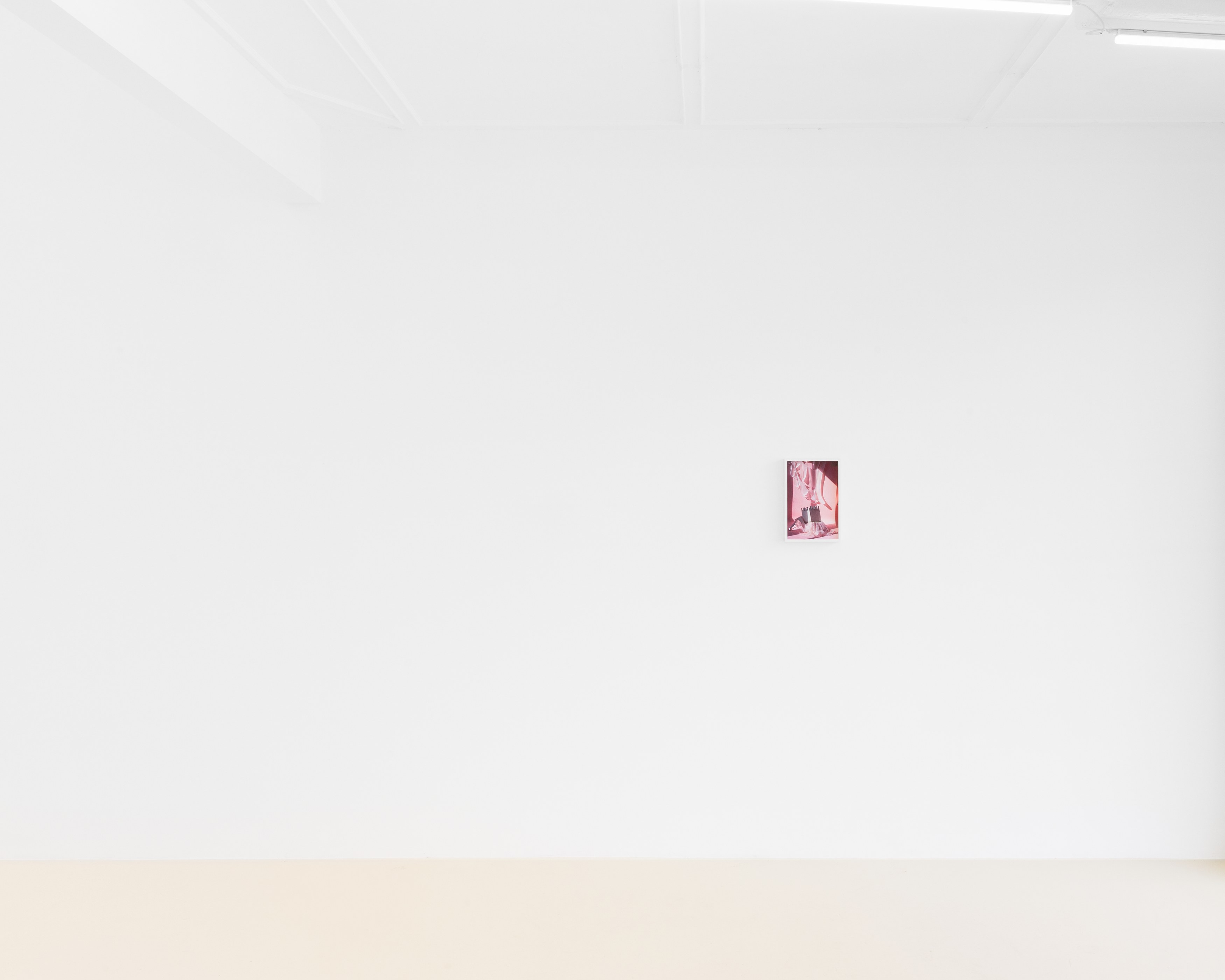 David Gilbert, I Capture the Castle at Chris Sharp Gallery, photo 4