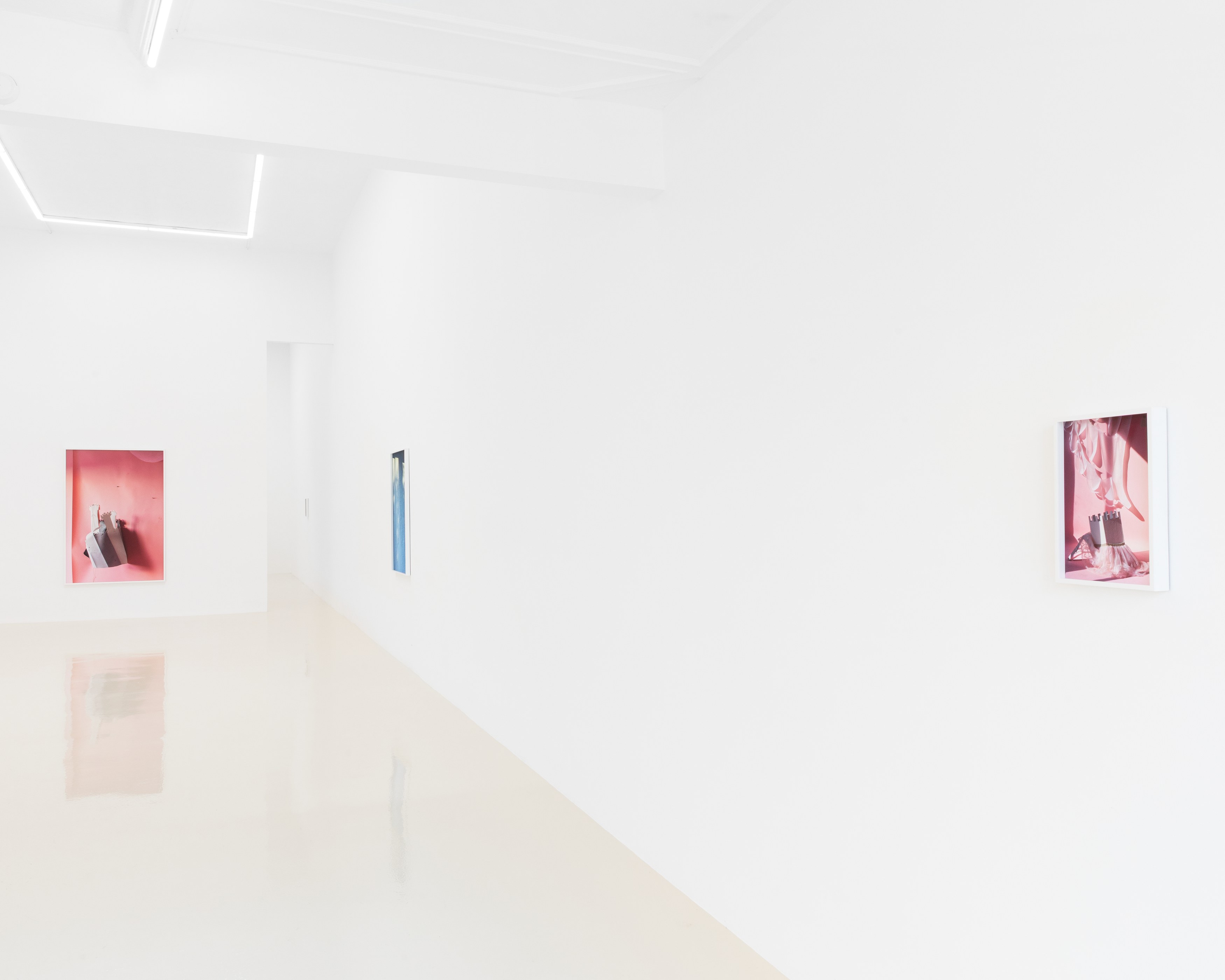 David Gilbert, I Capture the Castle at Chris Sharp Gallery, photo 5