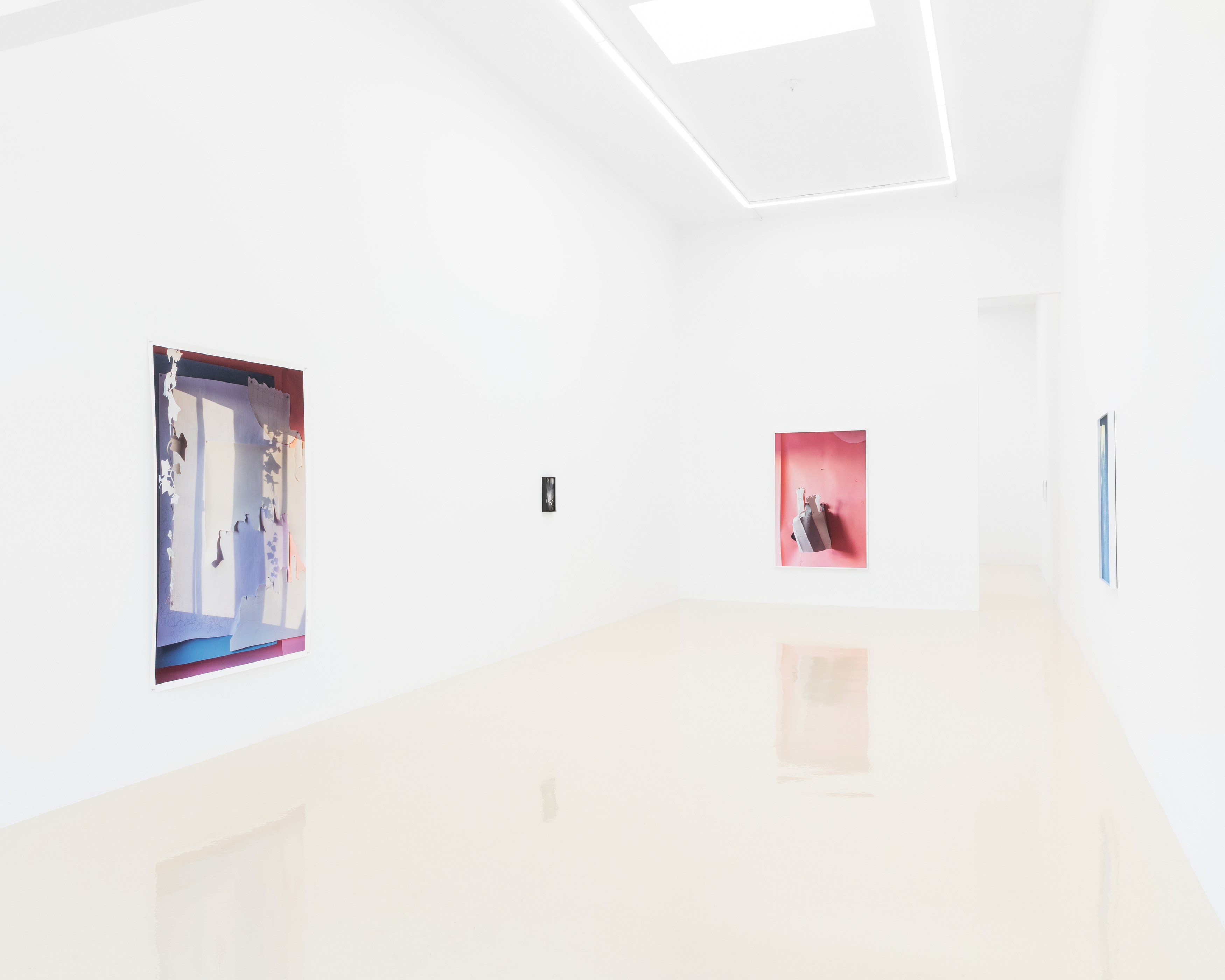 David Gilbert, I Capture the Castle at Chris Sharp Gallery, photo 6