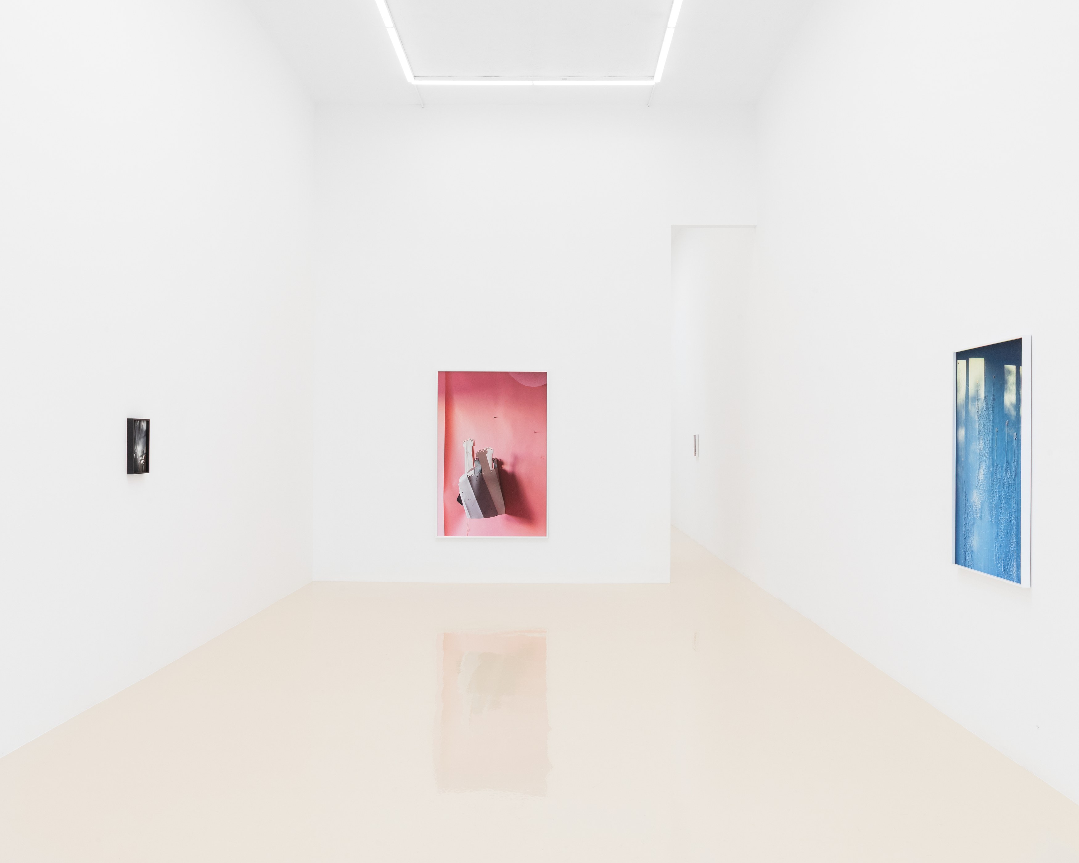 David Gilbert, I Capture the Castle at Chris Sharp Gallery, photo 9