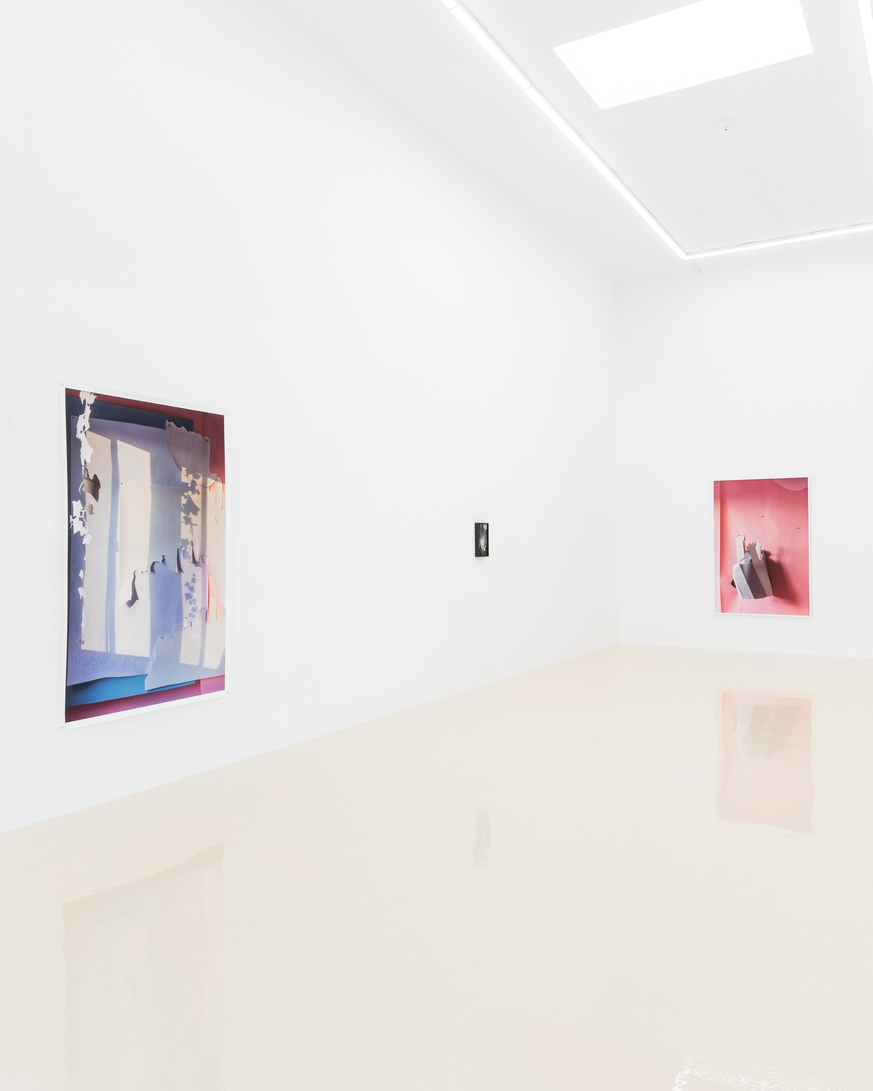 David Gilbert, I Capture the Castle at Chris Sharp Gallery, photo 7