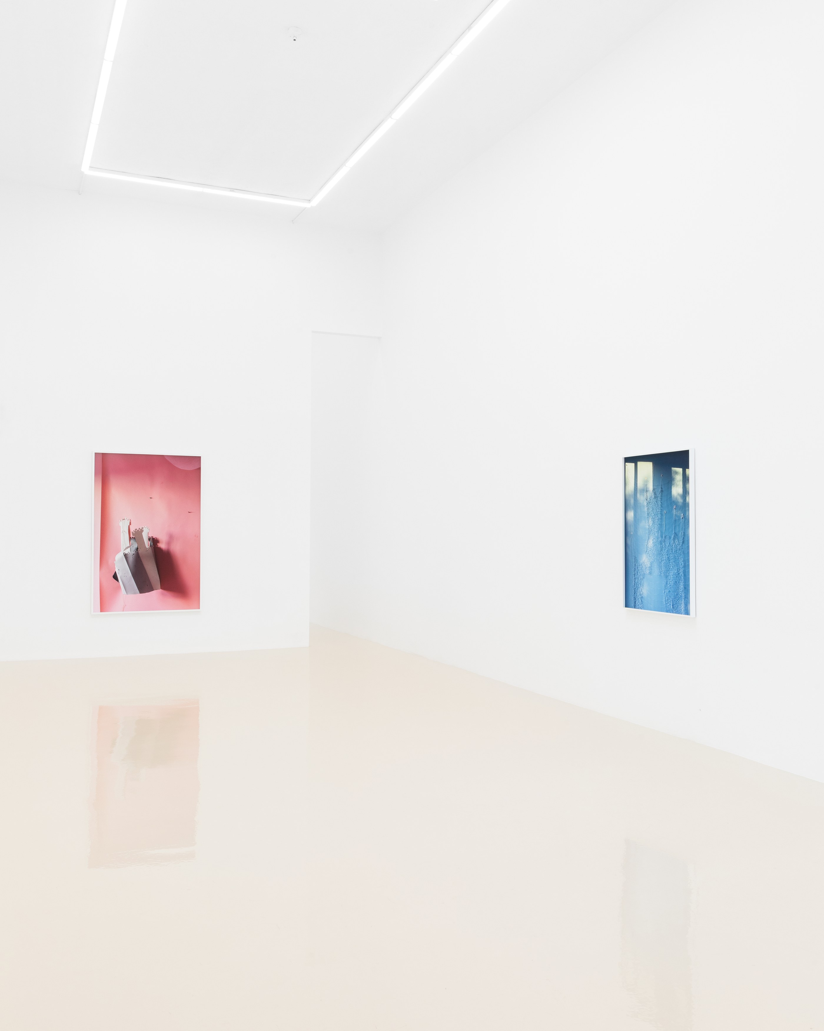 David Gilbert, I Capture the Castle at Chris Sharp Gallery, photo 8