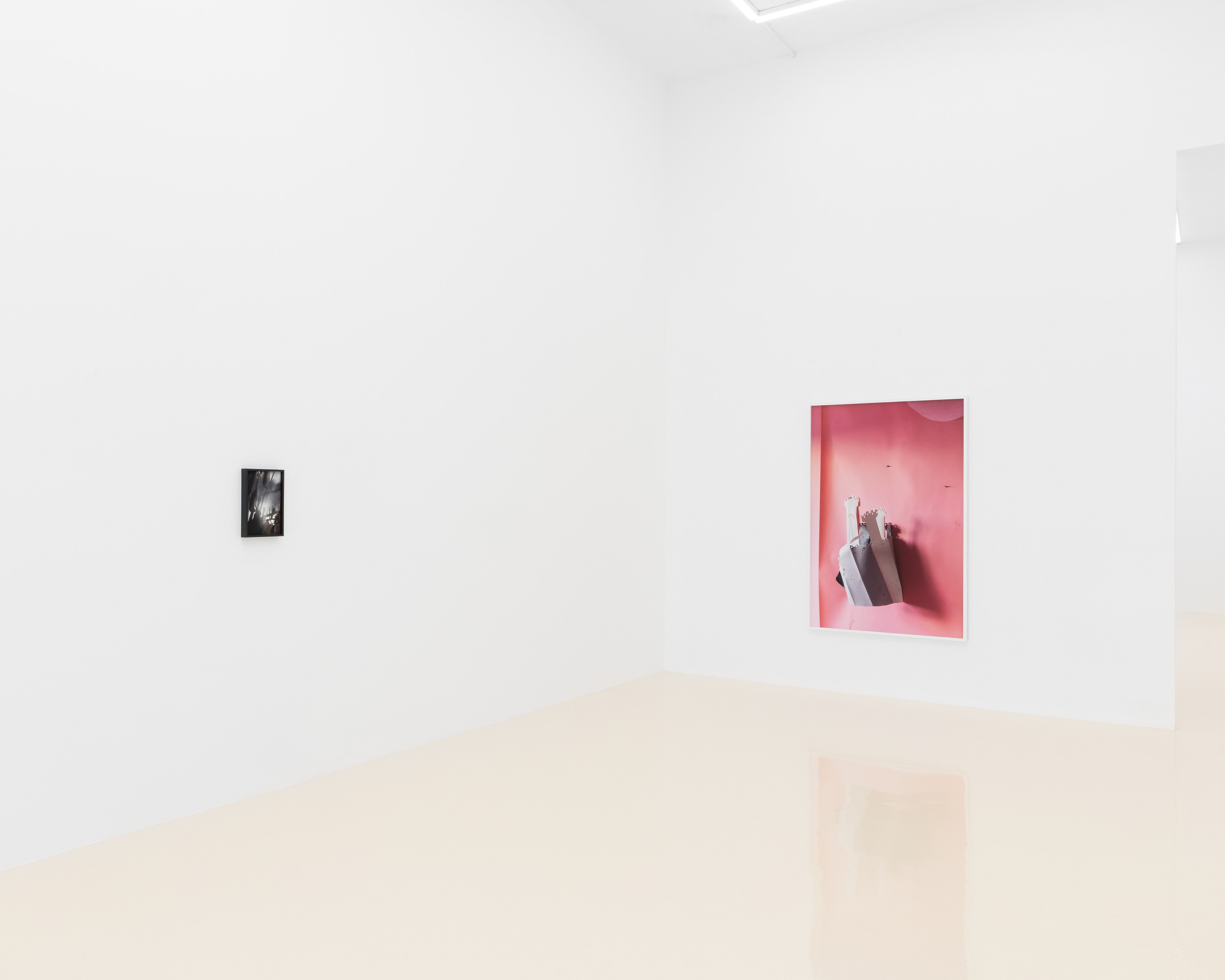 David Gilbert, I Capture the Castle at Chris Sharp Gallery, photo 10