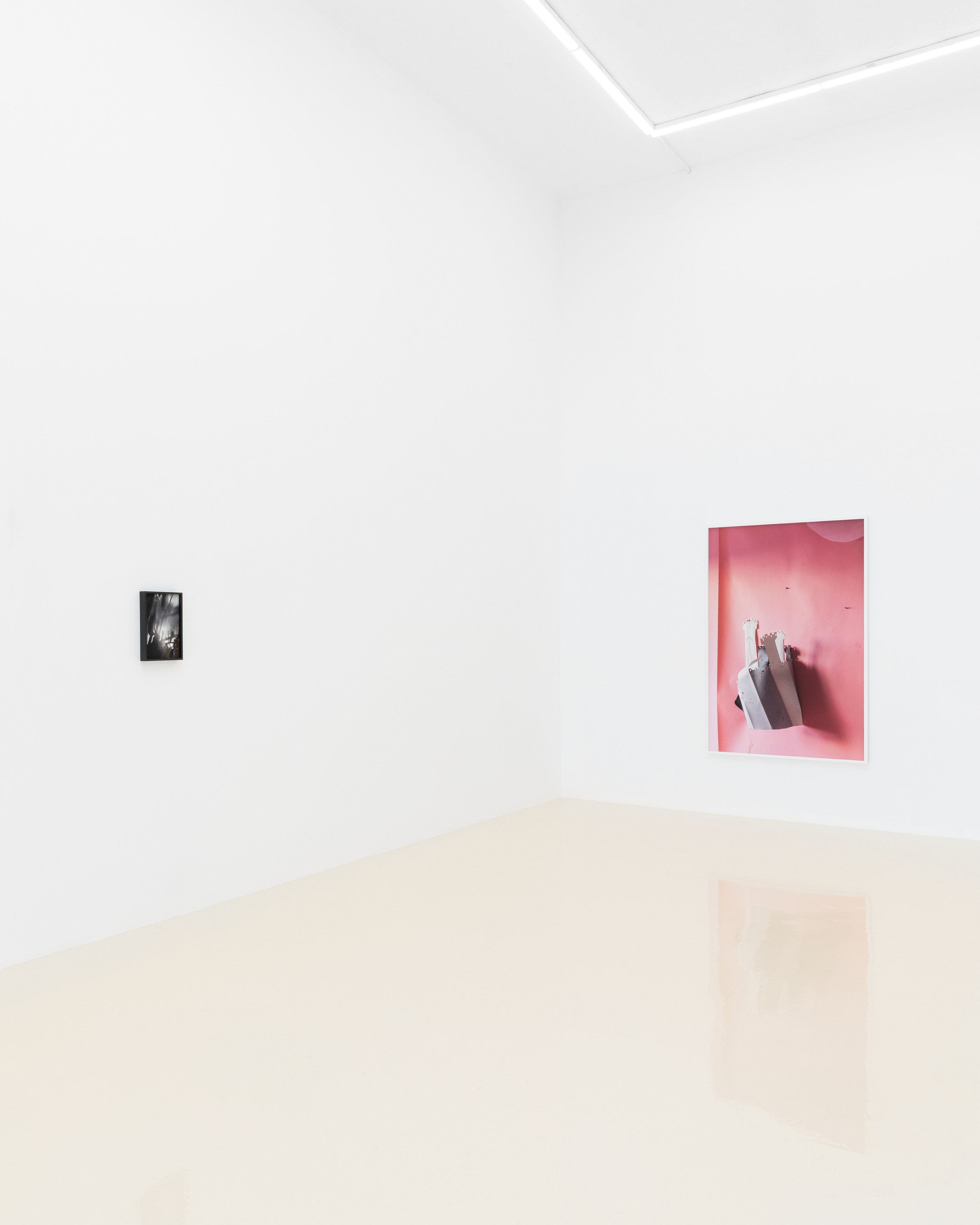 David Gilbert, I Capture the Castle at Chris Sharp Gallery, photo 11