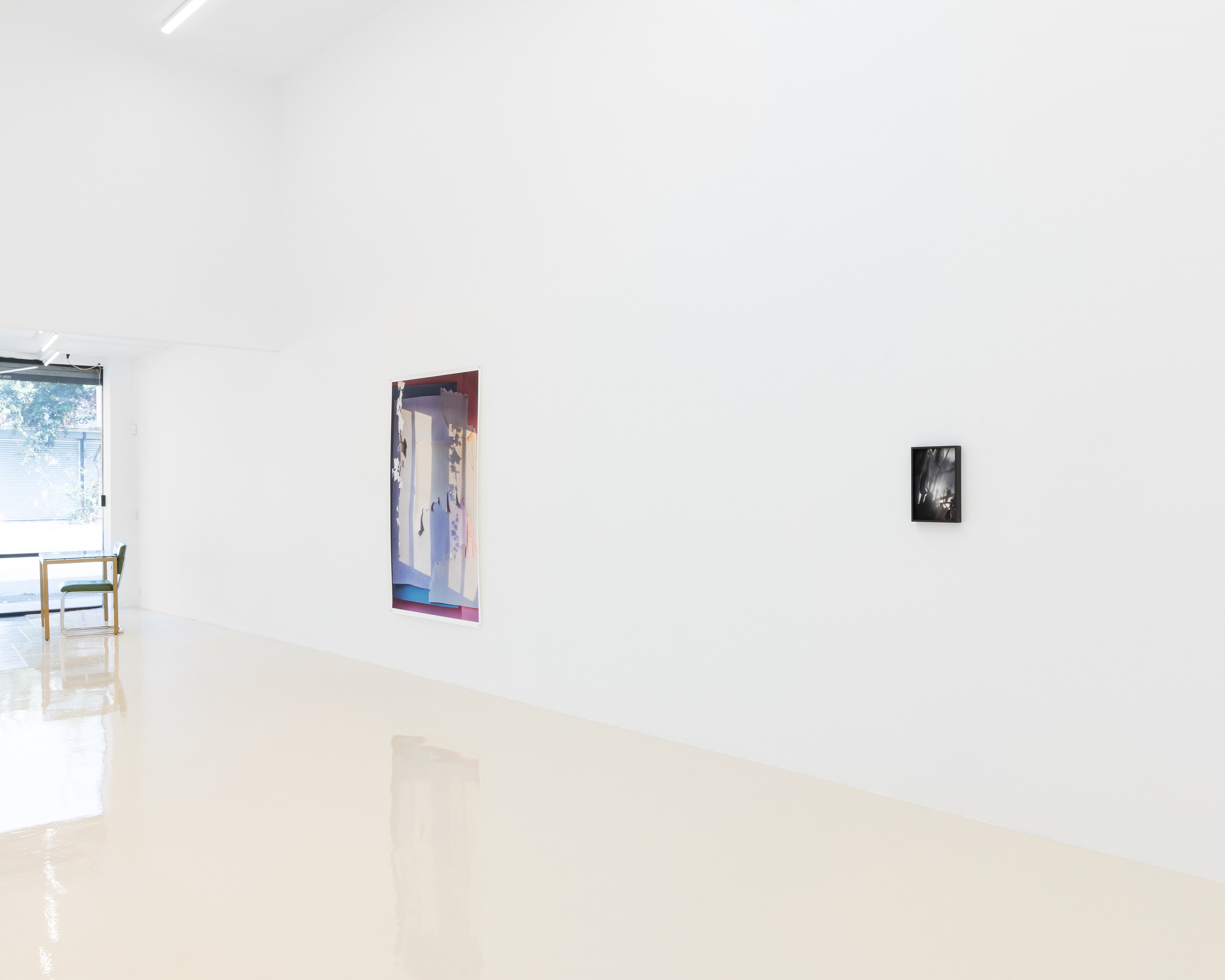 David Gilbert, I Capture the Castle at Chris Sharp Gallery, photo 13