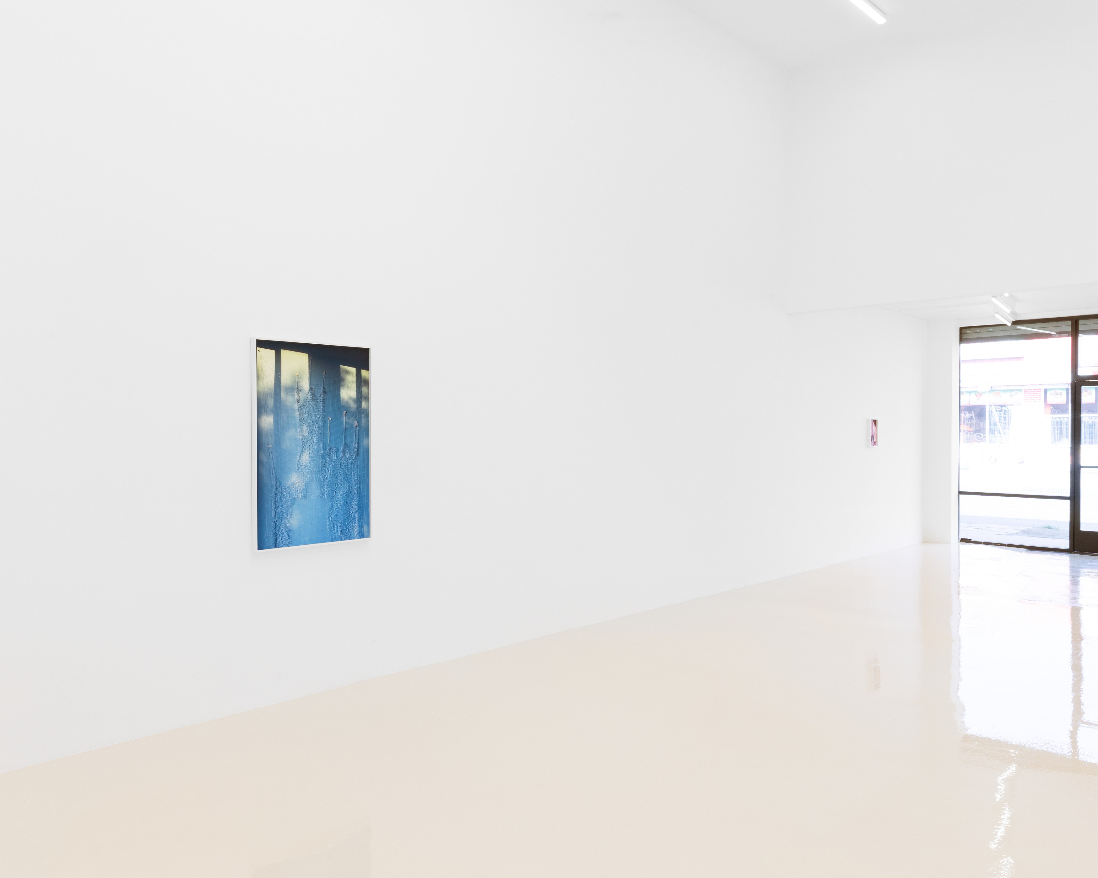 David Gilbert, I Capture the Castle at Chris Sharp Gallery, photo 14