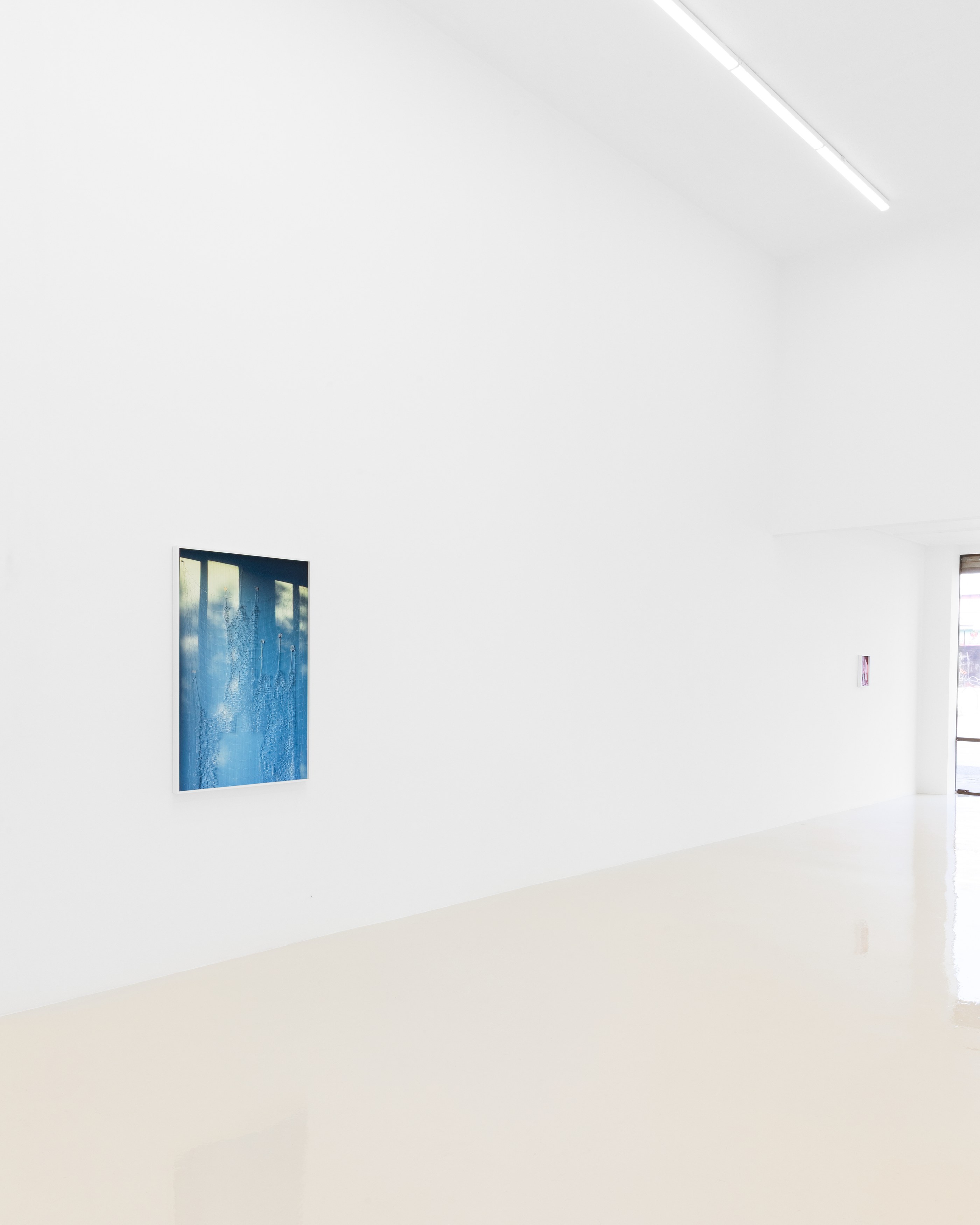 David Gilbert, I Capture the Castle at Chris Sharp Gallery, photo 15