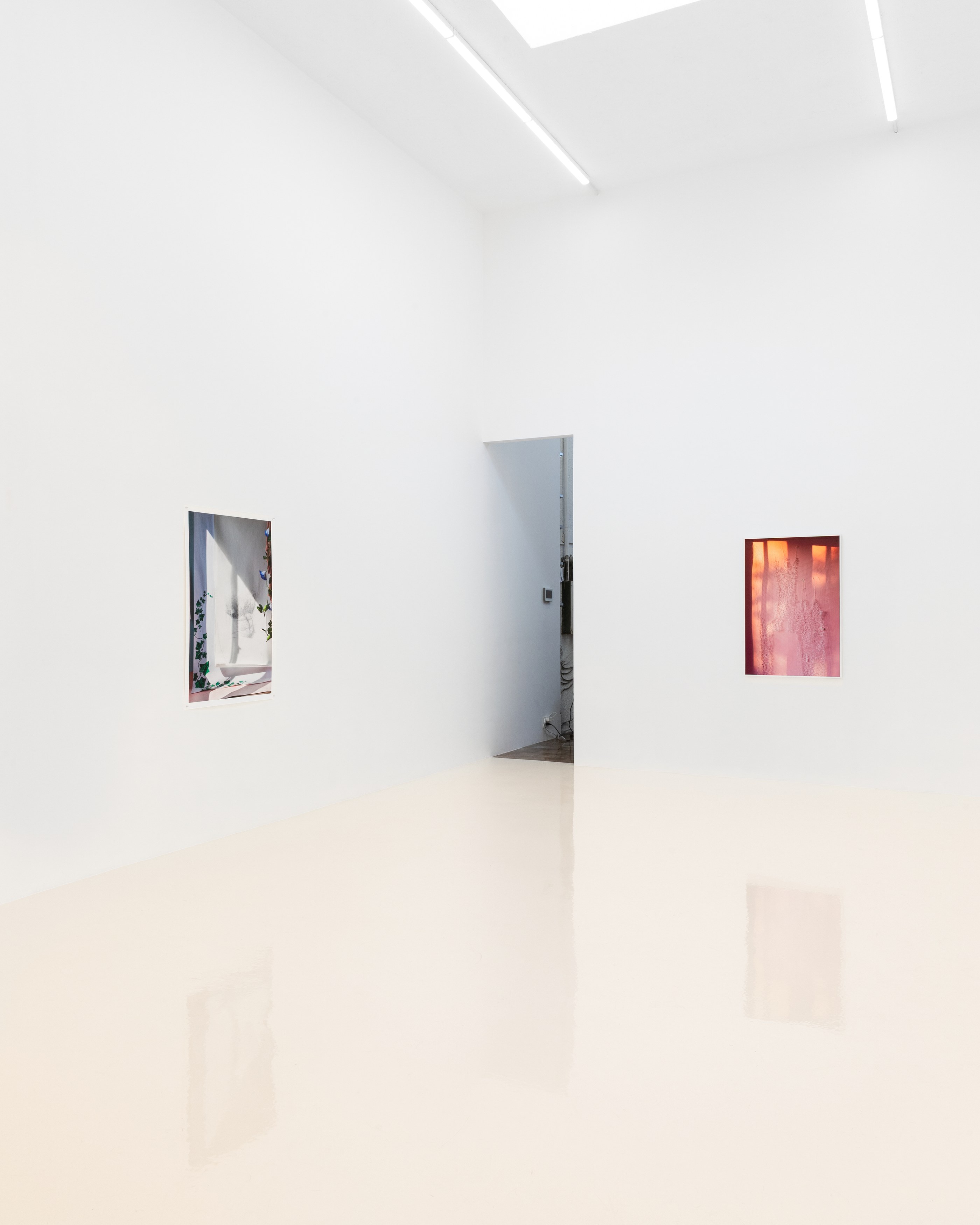 David Gilbert, I Capture the Castle at Chris Sharp Gallery, photo 17