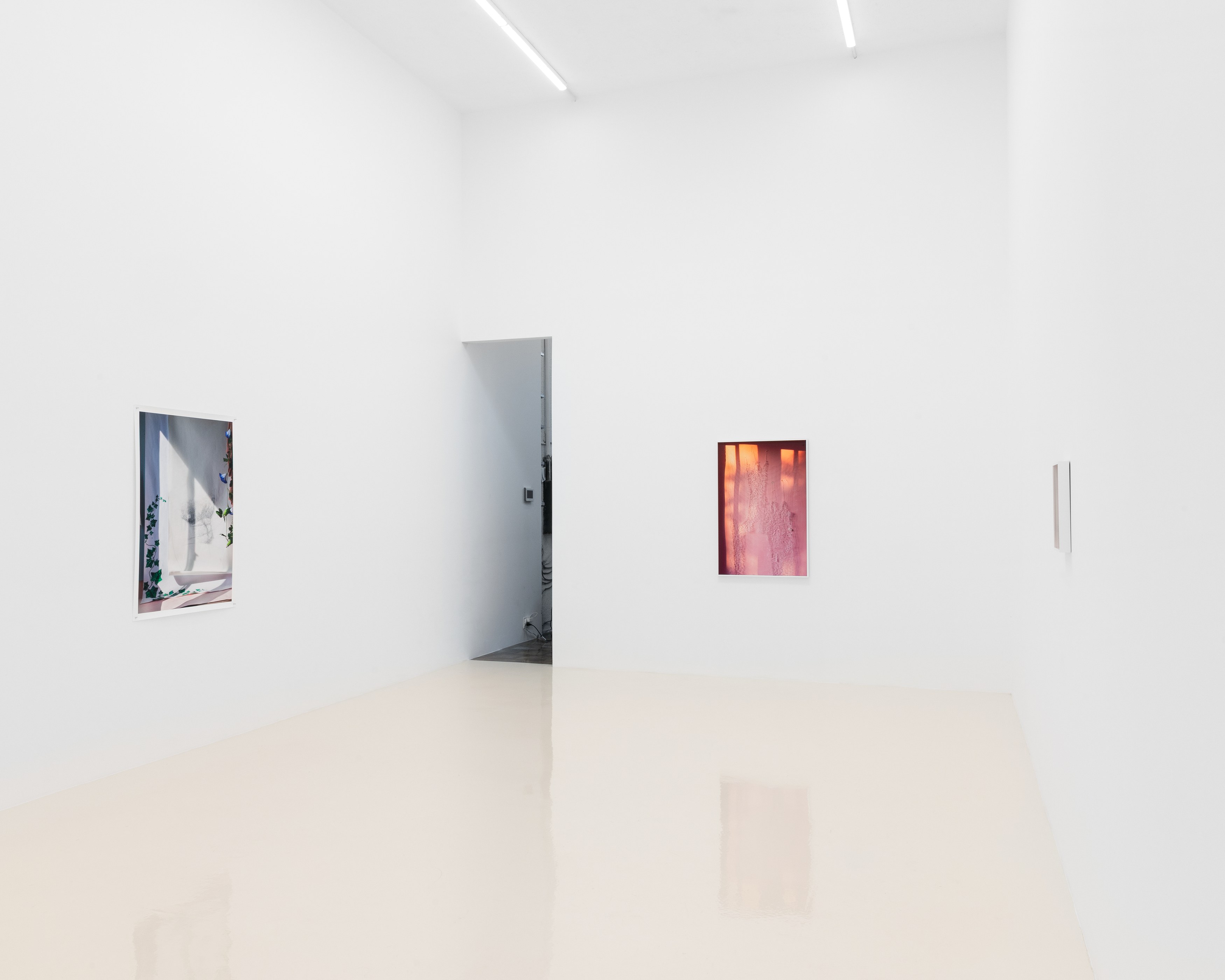 David Gilbert, I Capture the Castle at Chris Sharp Gallery, photo 18