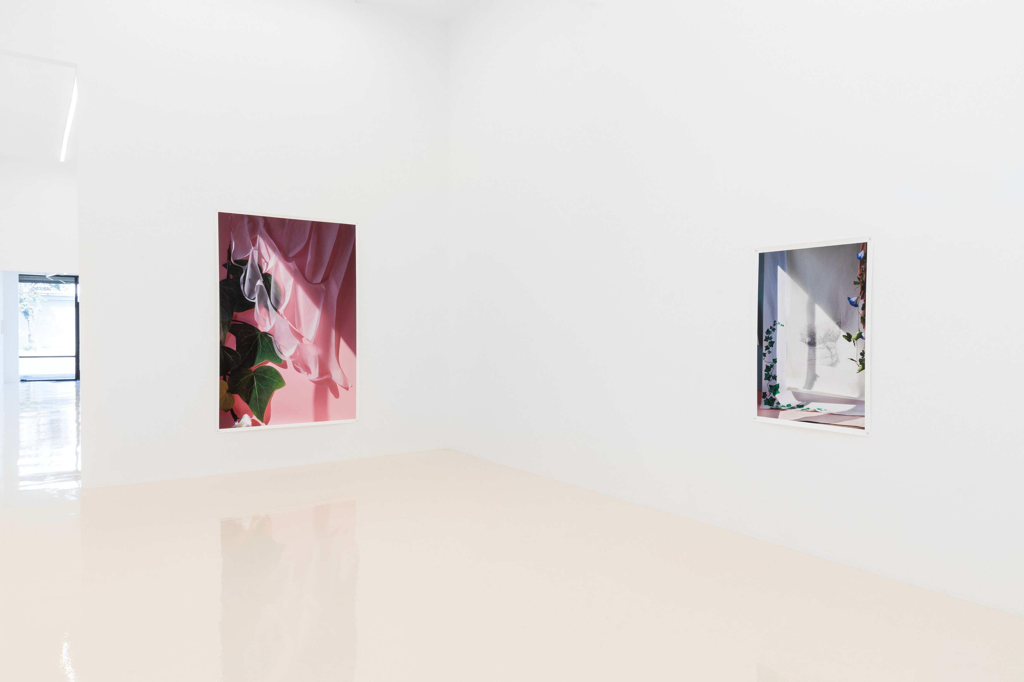 David Gilbert, I Capture the Castle at Chris Sharp Gallery, photo 20