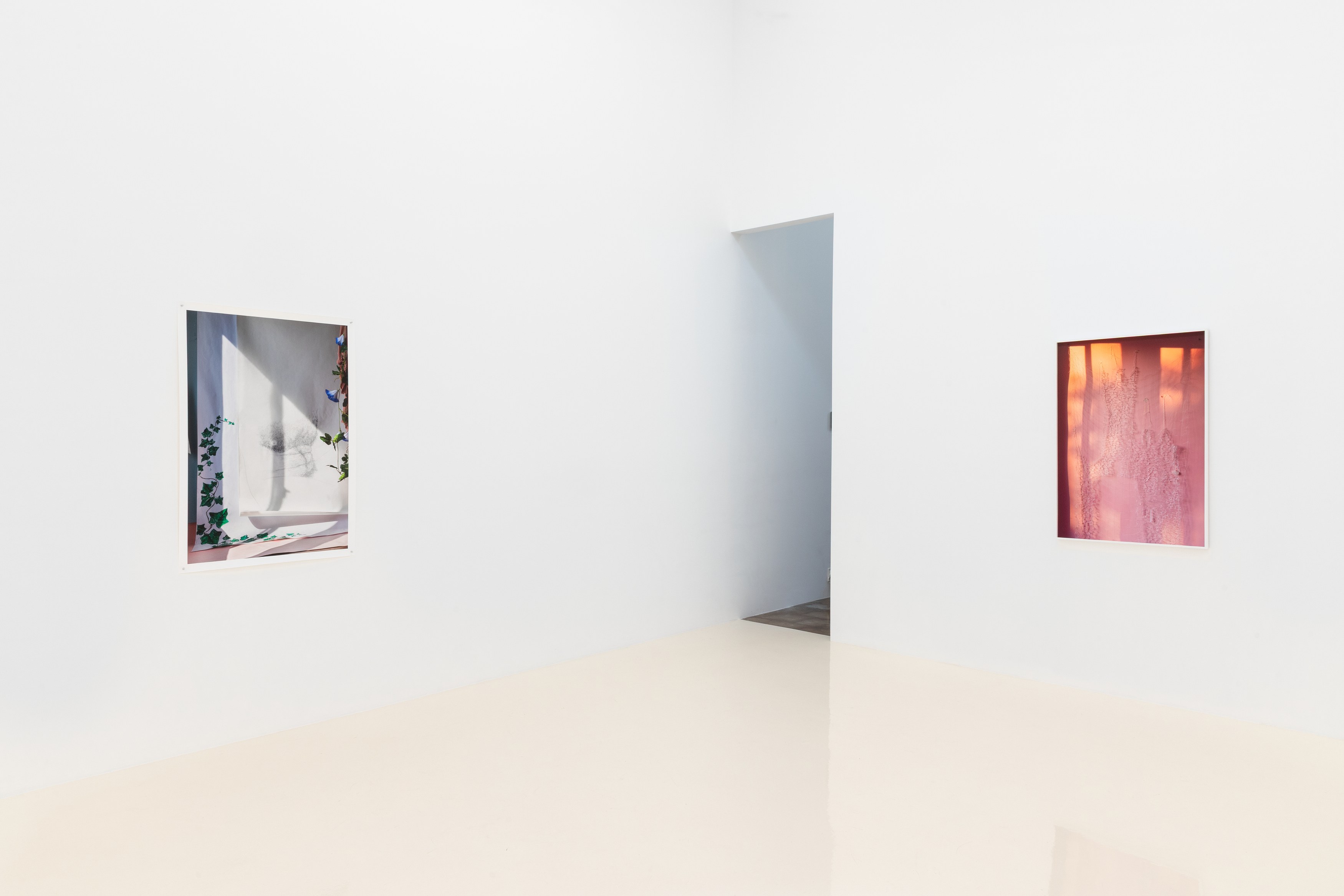 David Gilbert, I Capture the Castle at Chris Sharp Gallery, photo 19