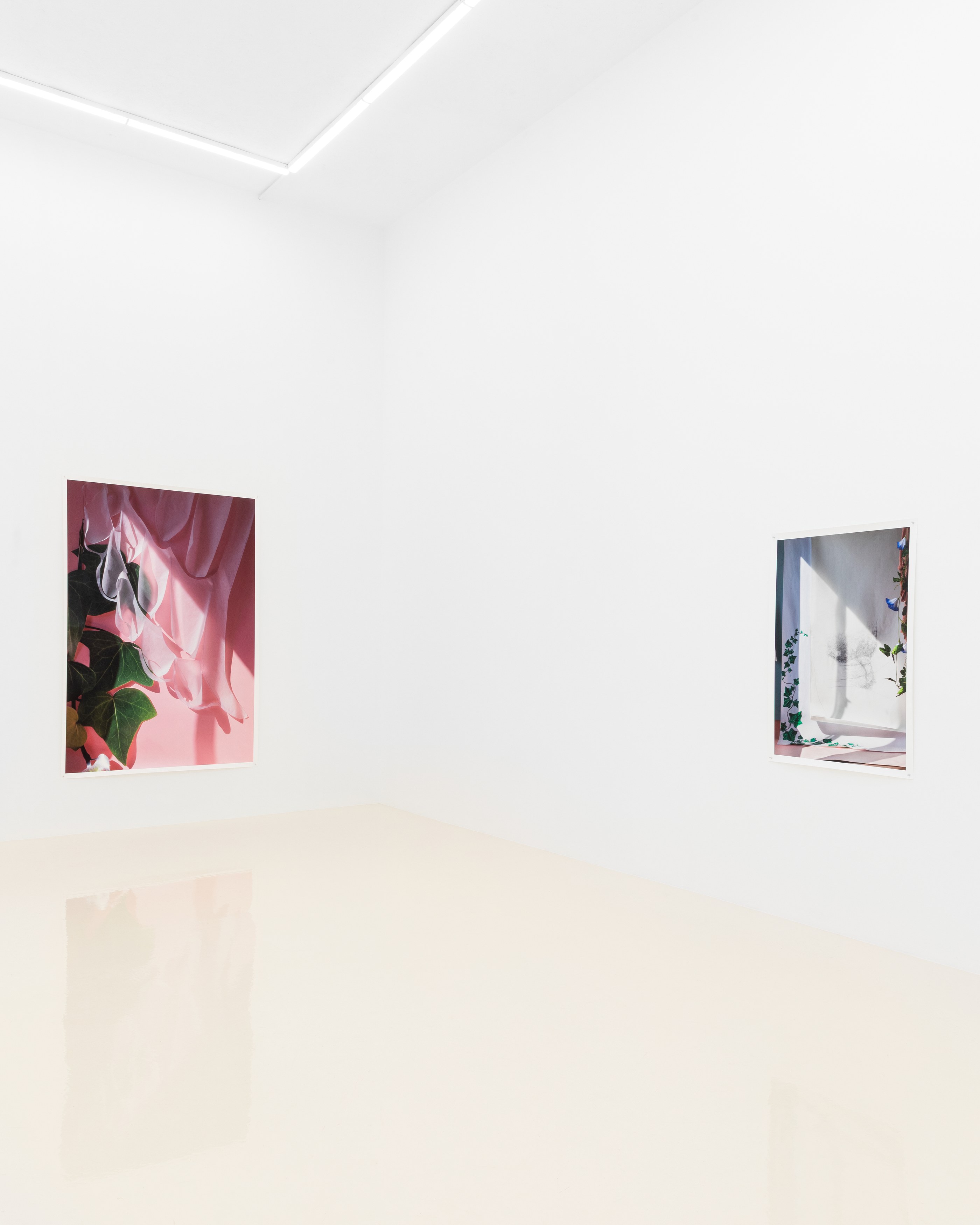 David Gilbert, I Capture the Castle at Chris Sharp Gallery, photo 21