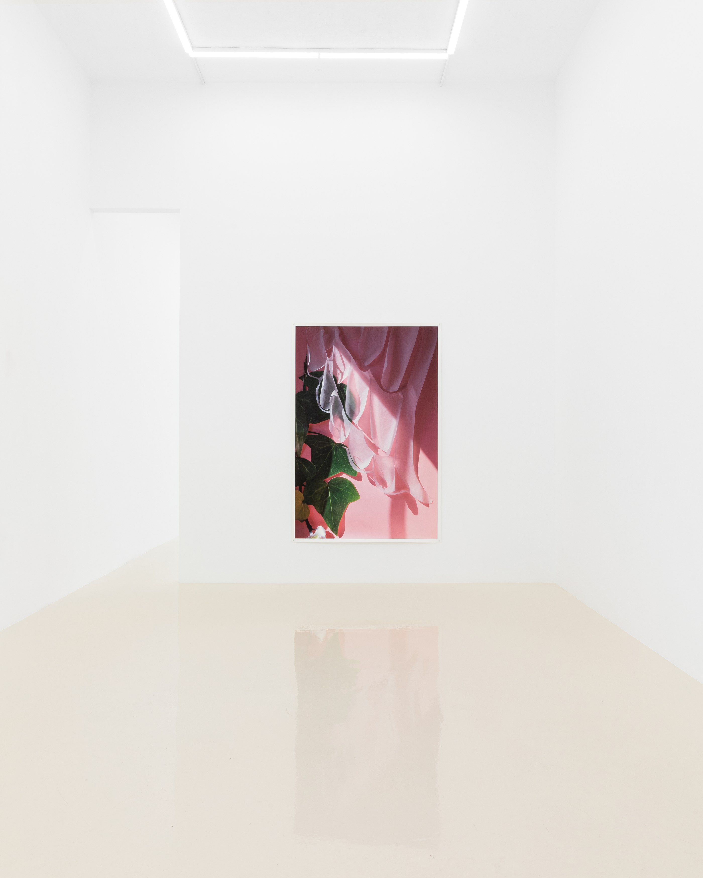 David Gilbert, I Capture the Castle at Chris Sharp Gallery, photo 22