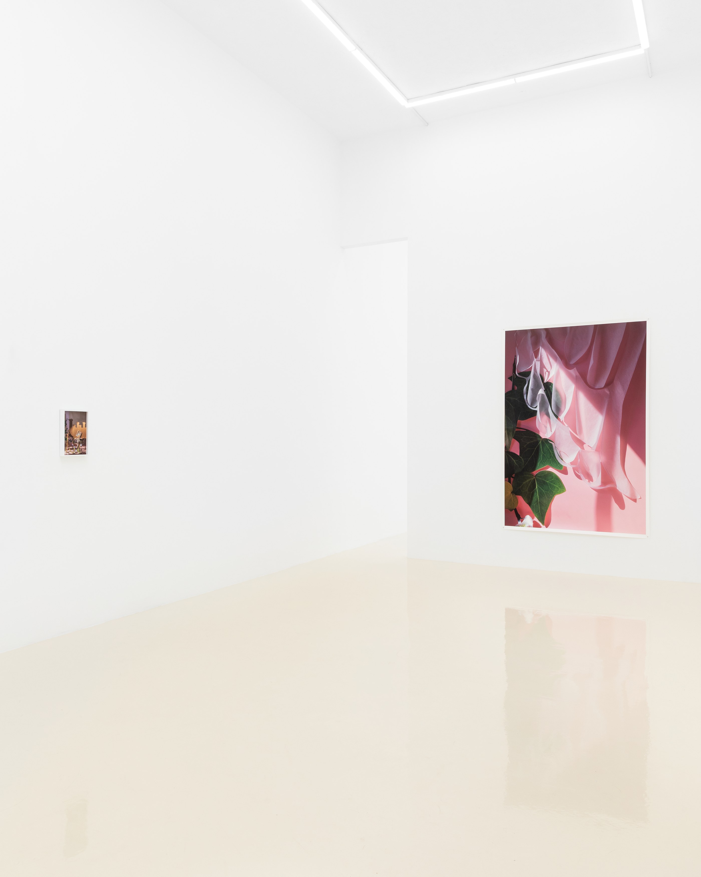 David Gilbert, I Capture the Castle at Chris Sharp Gallery, photo 23