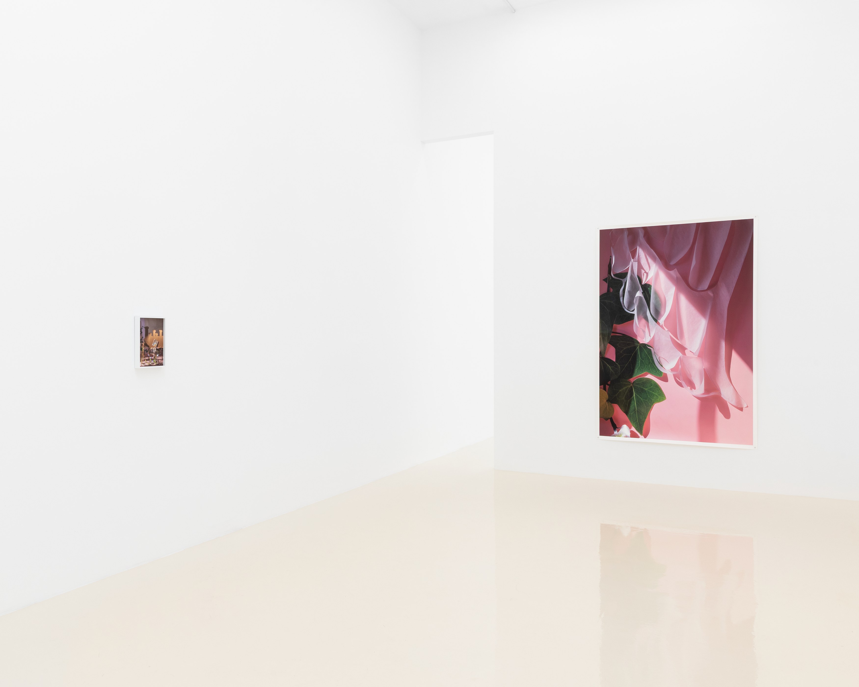 David Gilbert, I Capture the Castle at Chris Sharp Gallery, photo 24