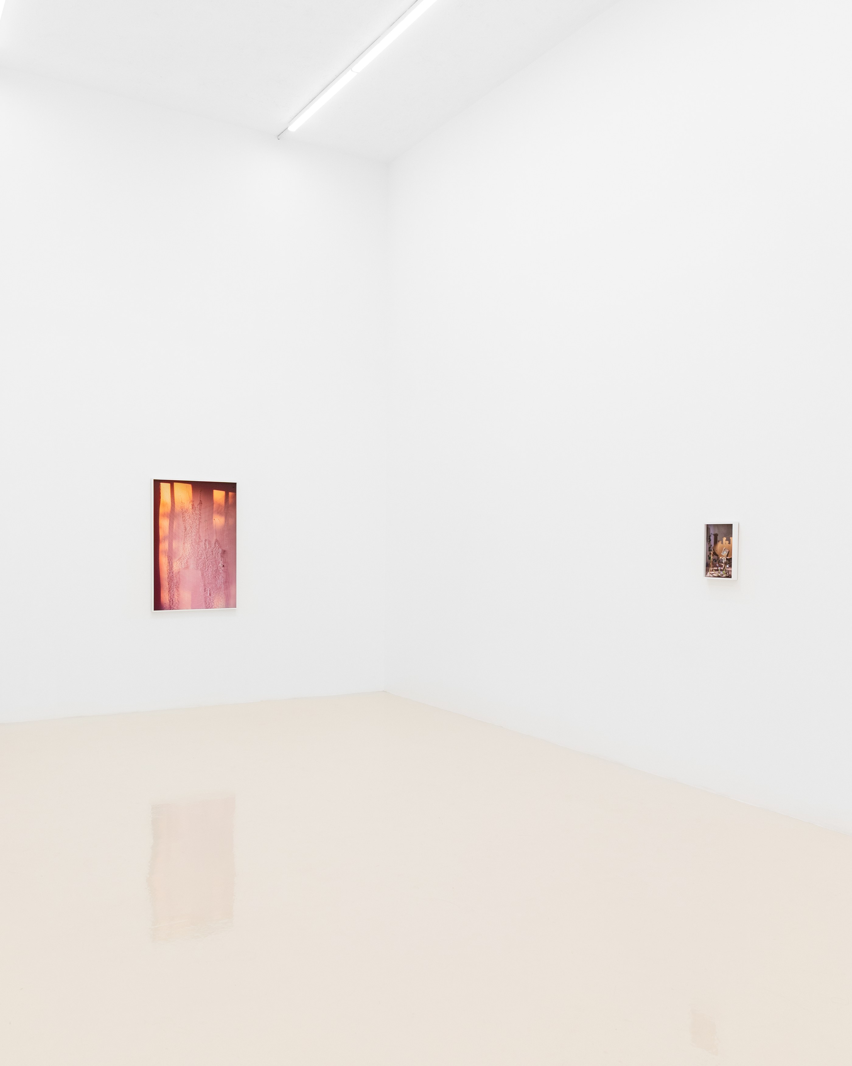 David Gilbert, I Capture the Castle at Chris Sharp Gallery, photo 25