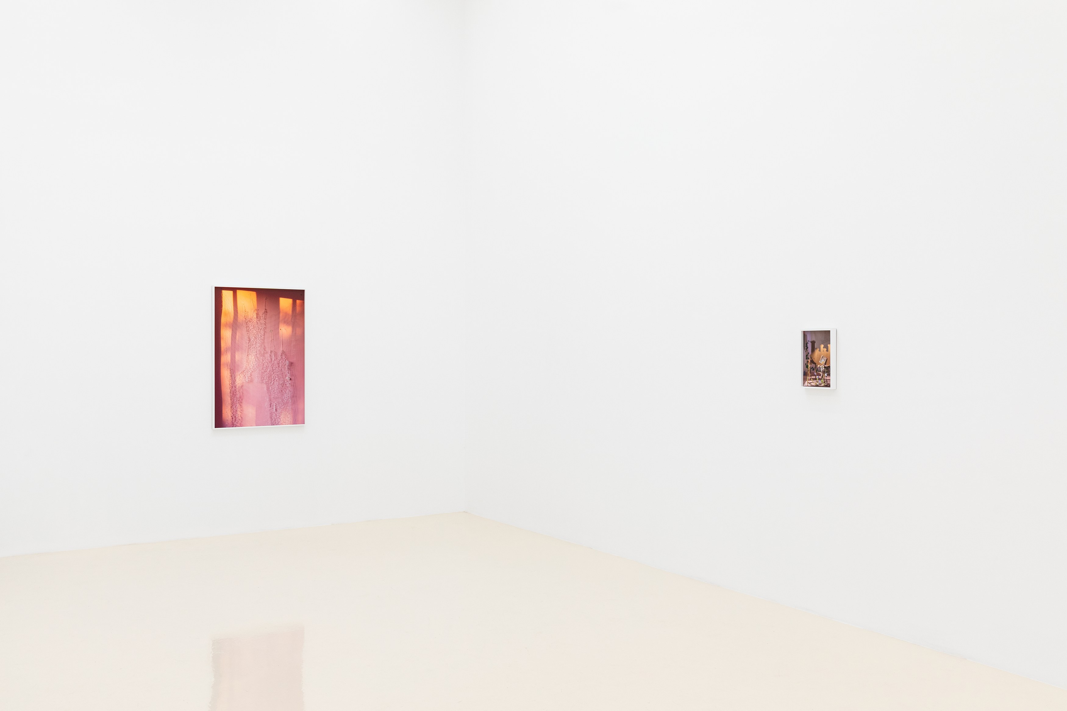 David Gilbert, I Capture the Castle at Chris Sharp Gallery, photo 26