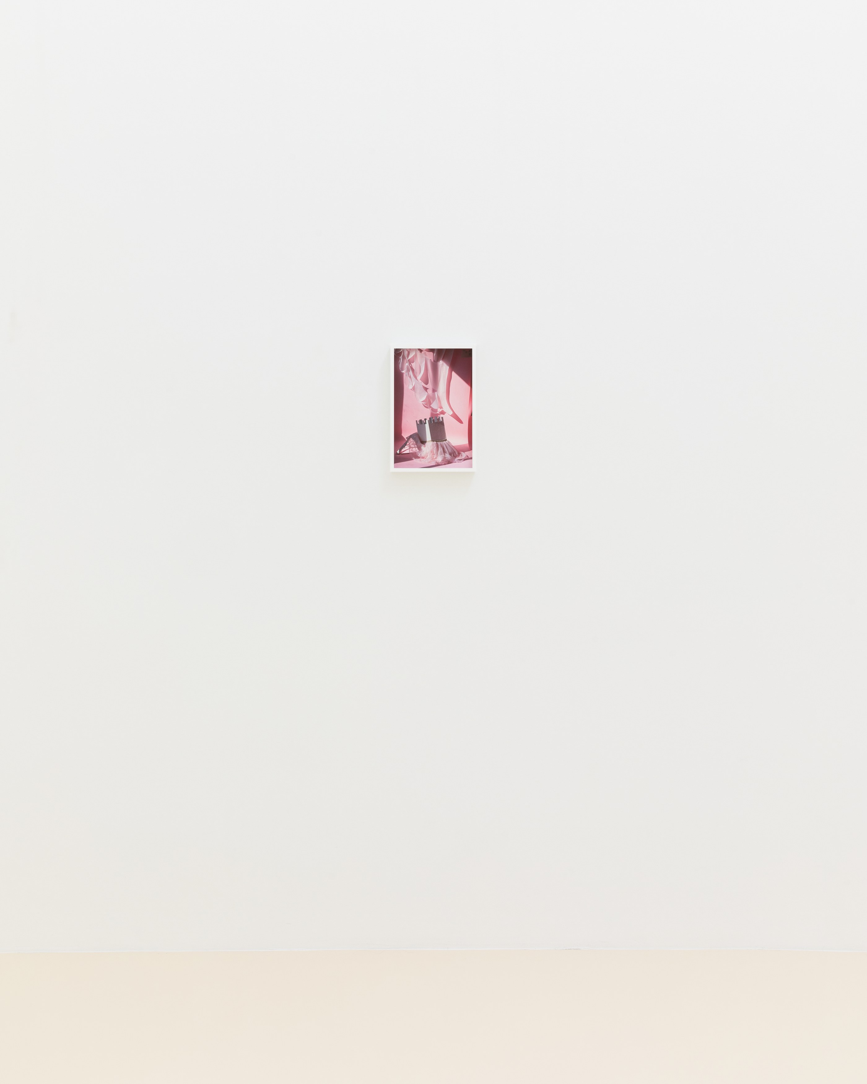 David Gilbert, I Capture the Castle at Chris Sharp Gallery, photo 27