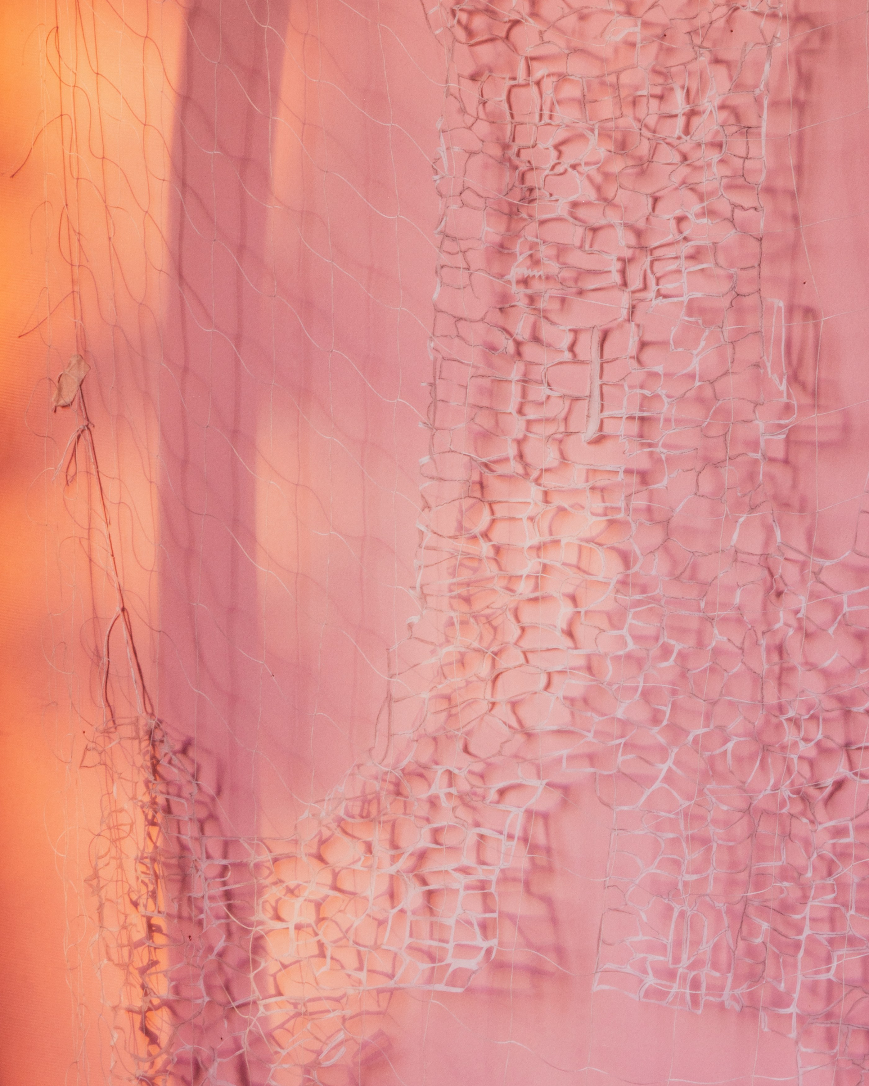David Gilbert, I Capture the Castle at Chris Sharp Gallery, photo 36