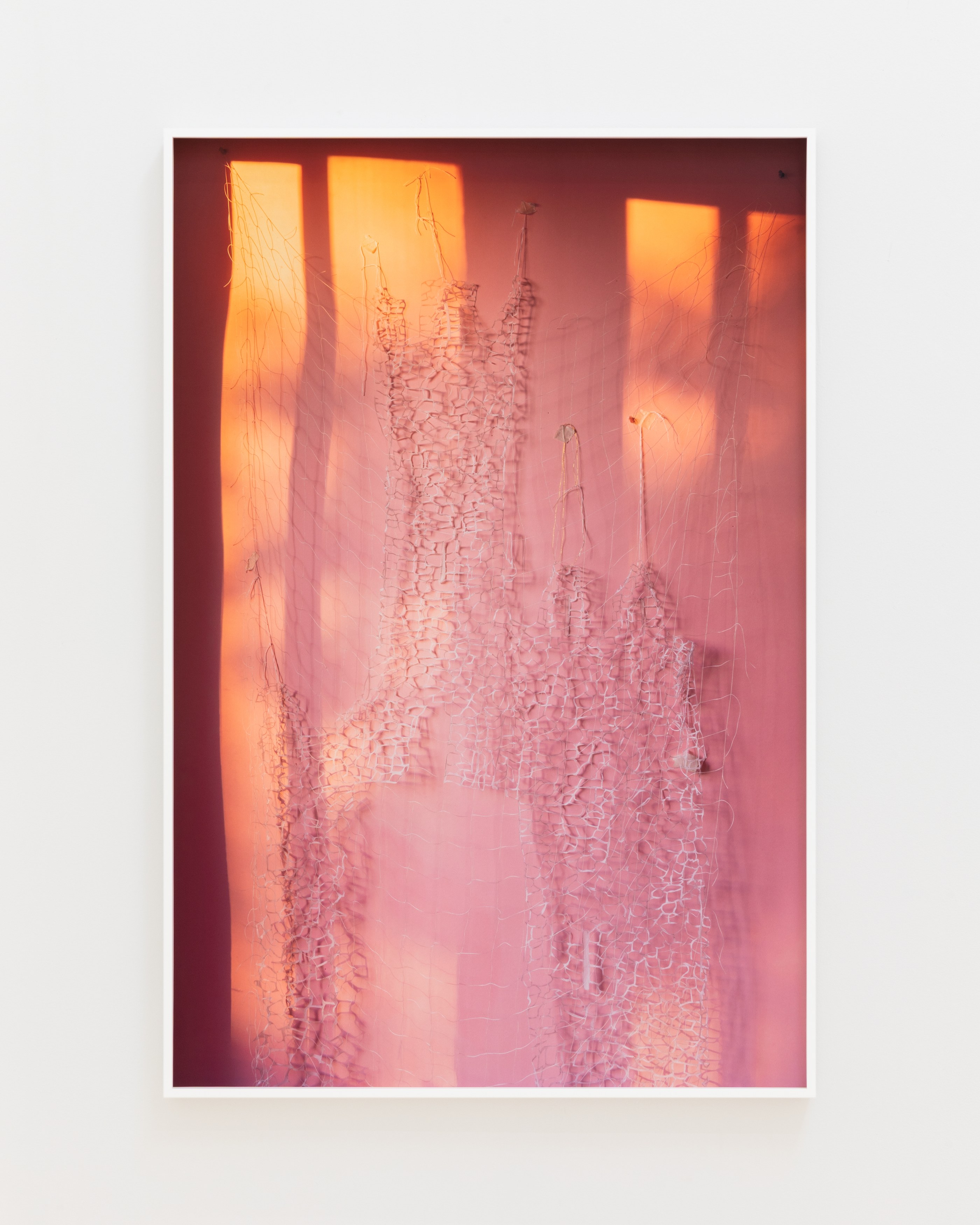 David Gilbert, I Capture the Castle at Chris Sharp Gallery, photo 35