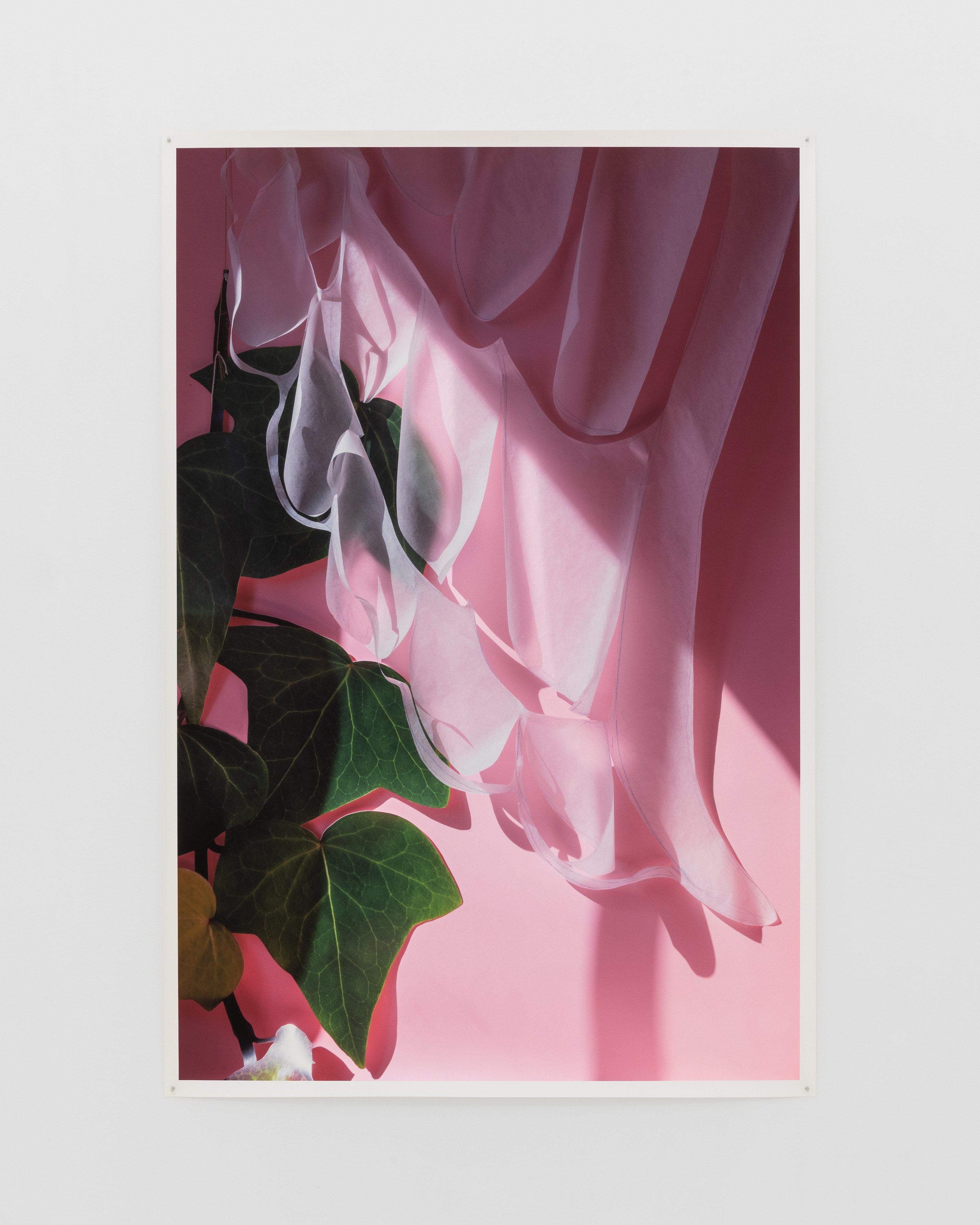David Gilbert, I Capture the Castle at Chris Sharp Gallery, photo 43