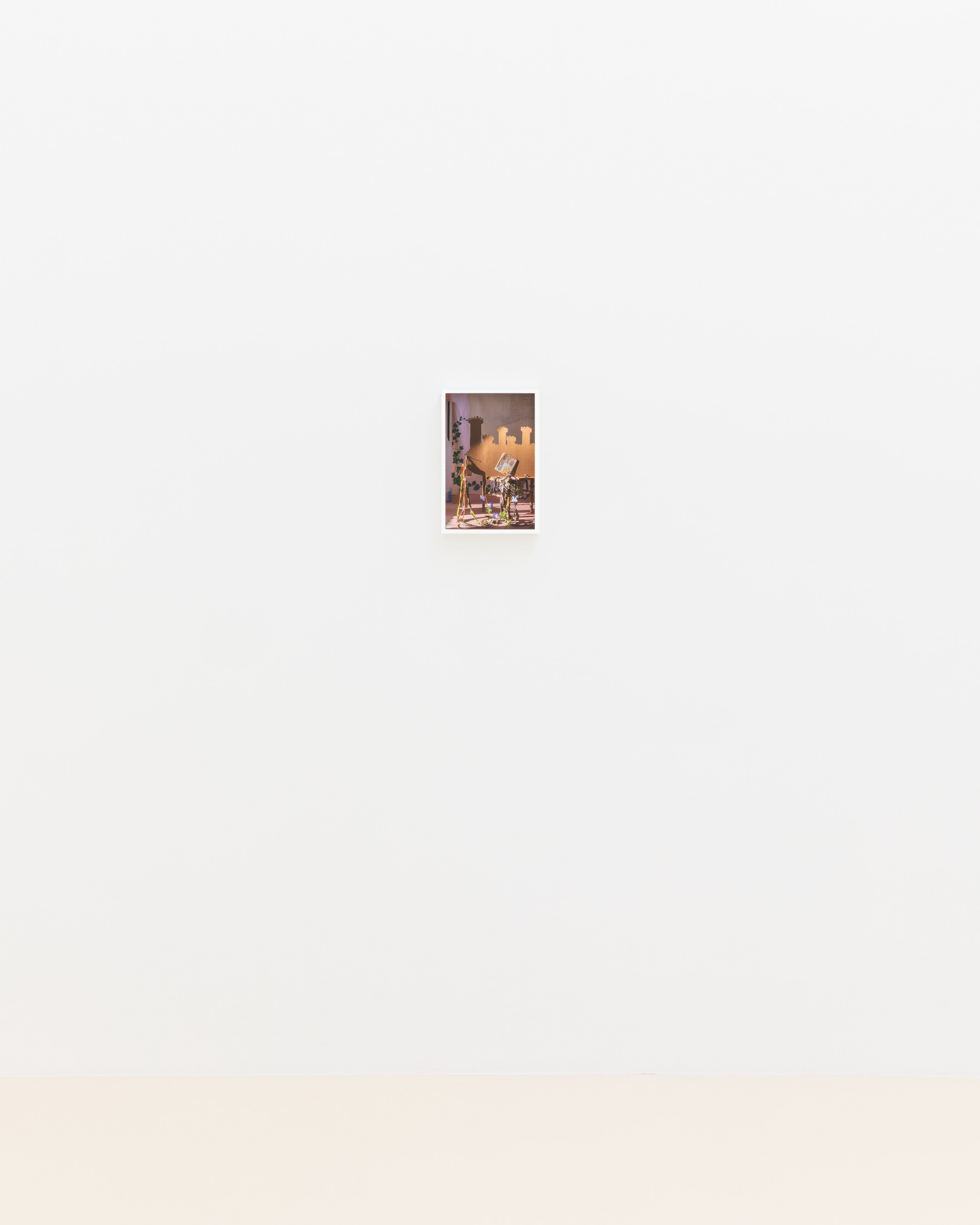 David Gilbert, I Capture the Castle at Chris Sharp Gallery, photo 46