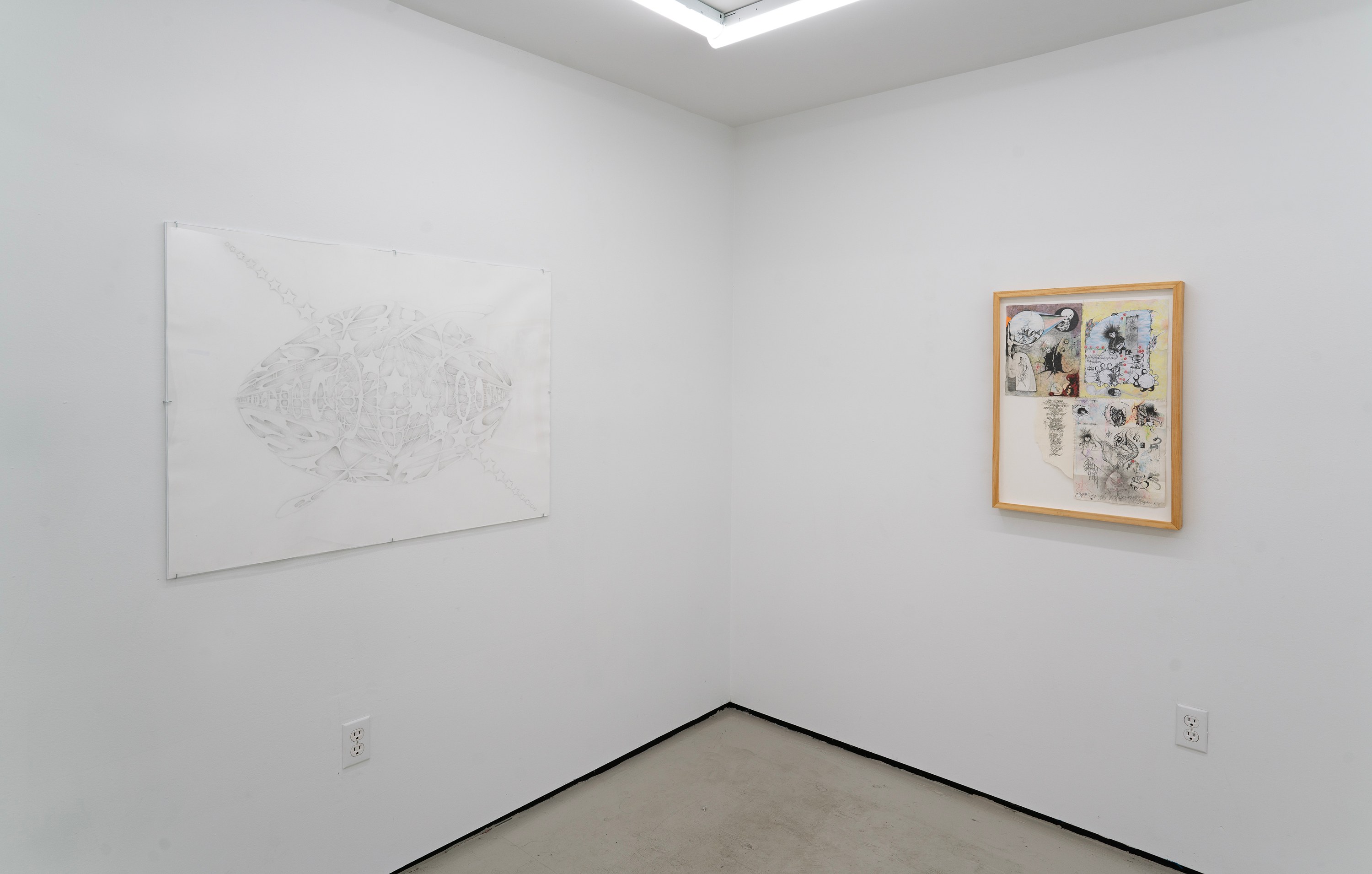 Installation view 12