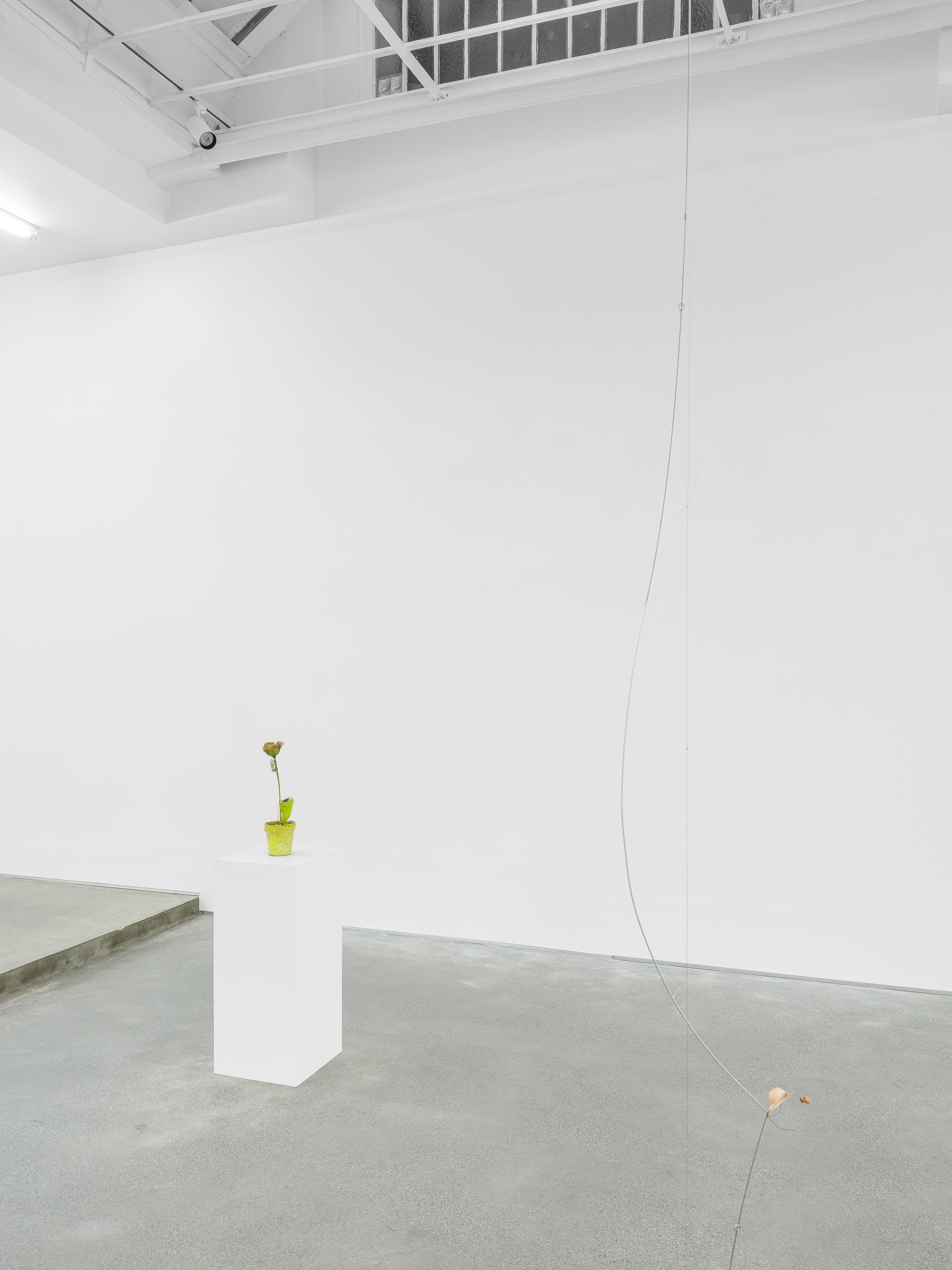 Props, Props at Galerie Derouillon, photo 14