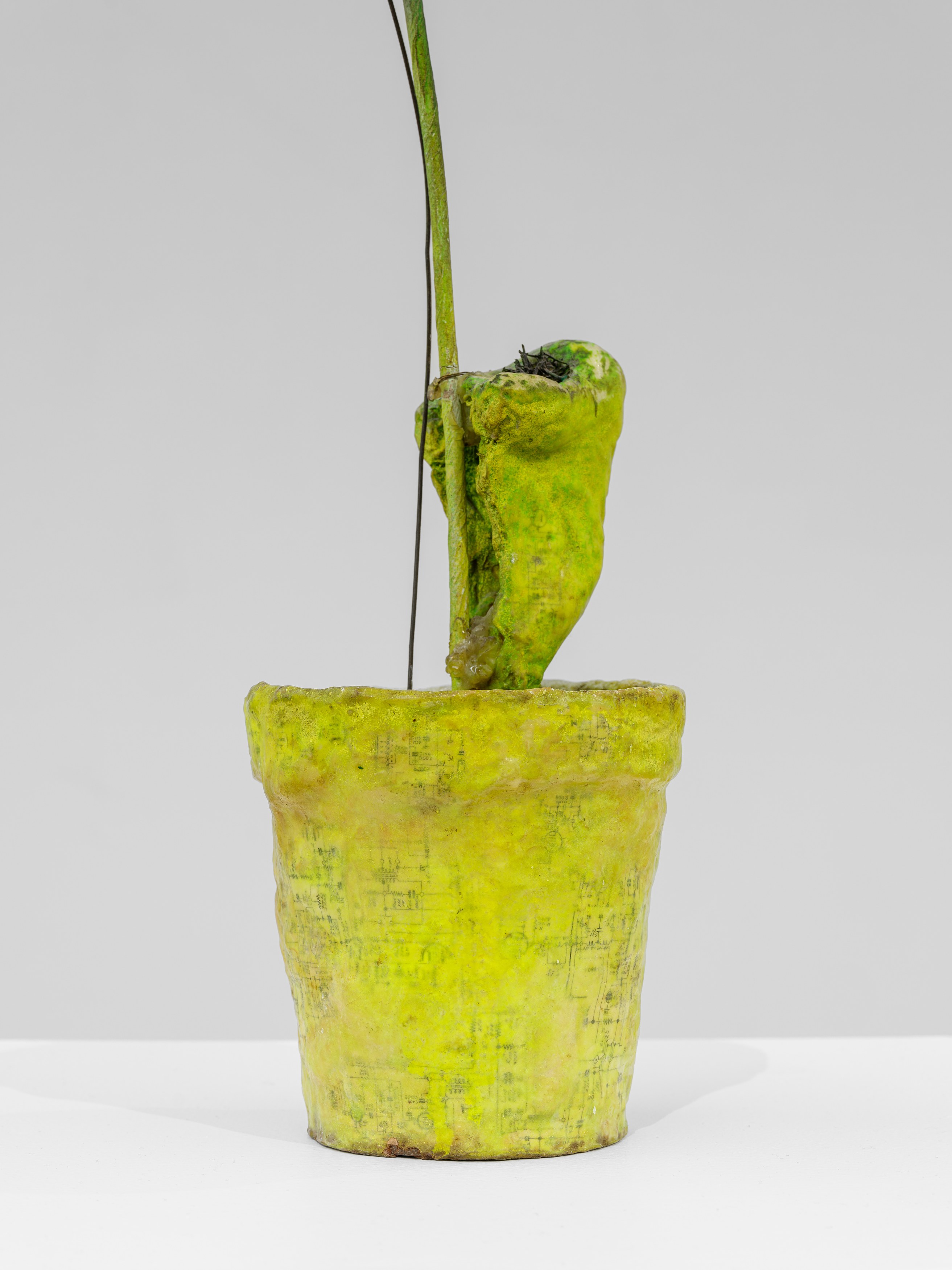 Props, Props at Galerie Derouillon, photo 22
