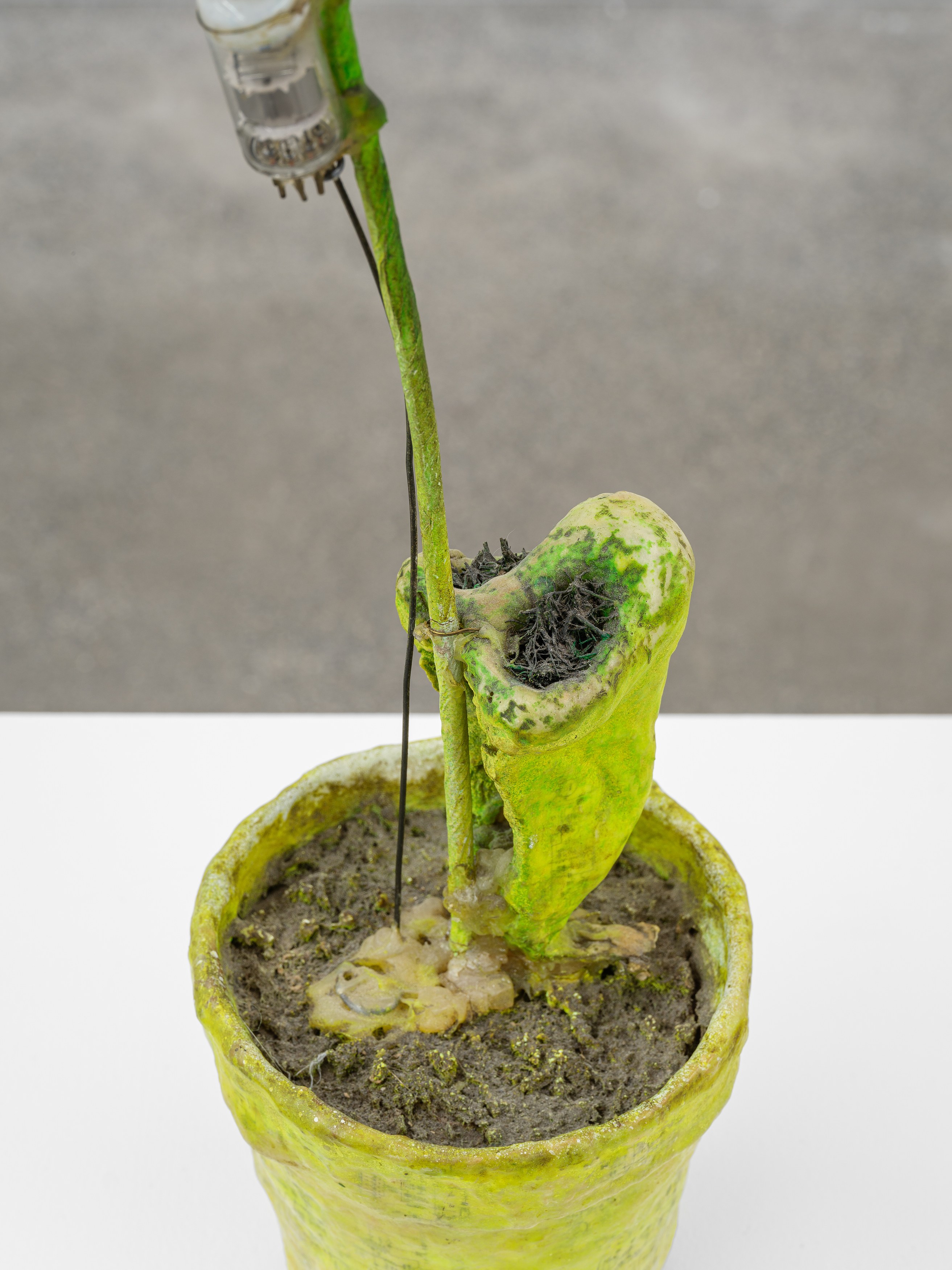 Props, Props at Galerie Derouillon, photo 23