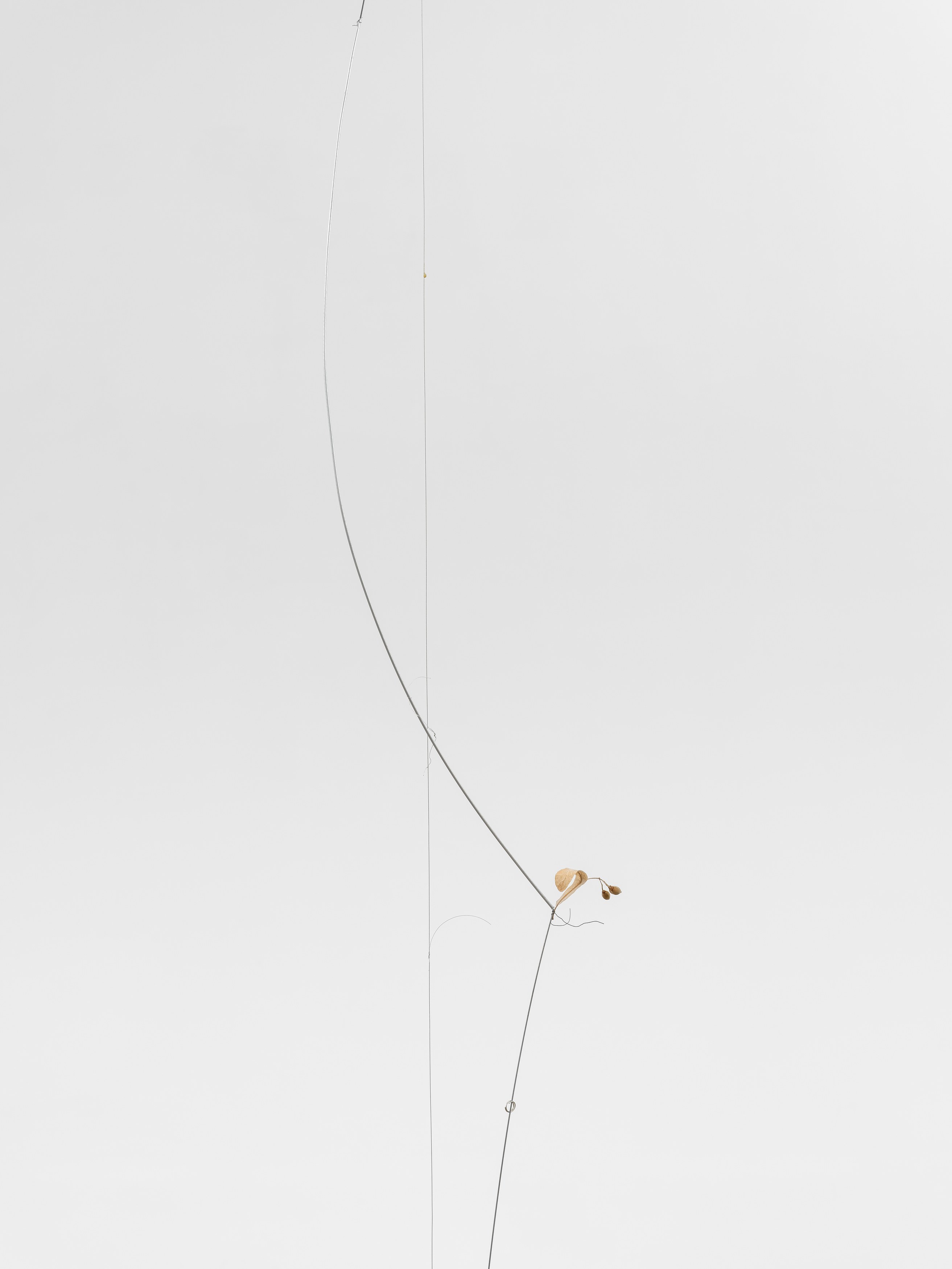 Props, Props at Galerie Derouillon, photo 26
