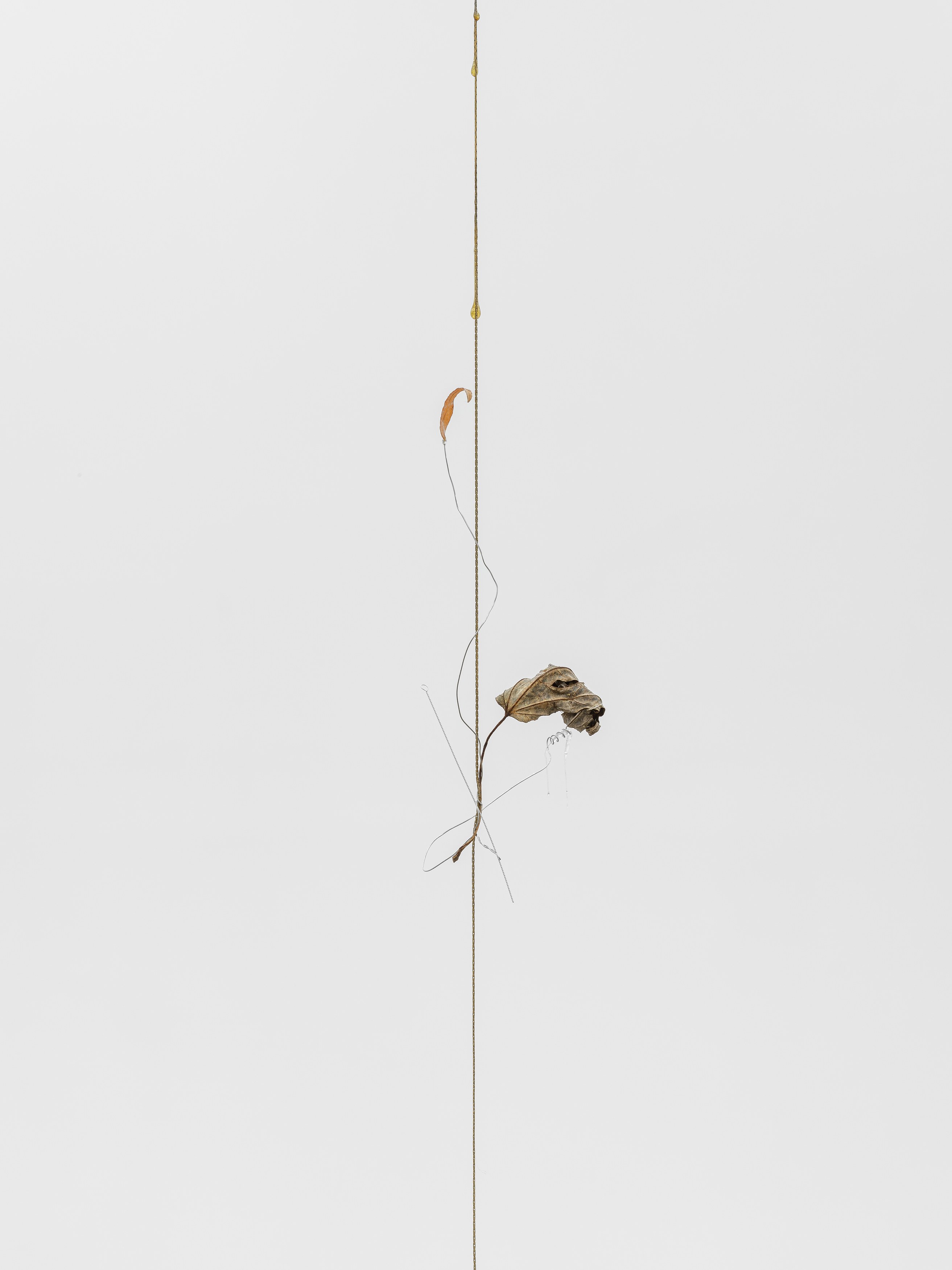 Props, Props at Galerie Derouillon, photo 28