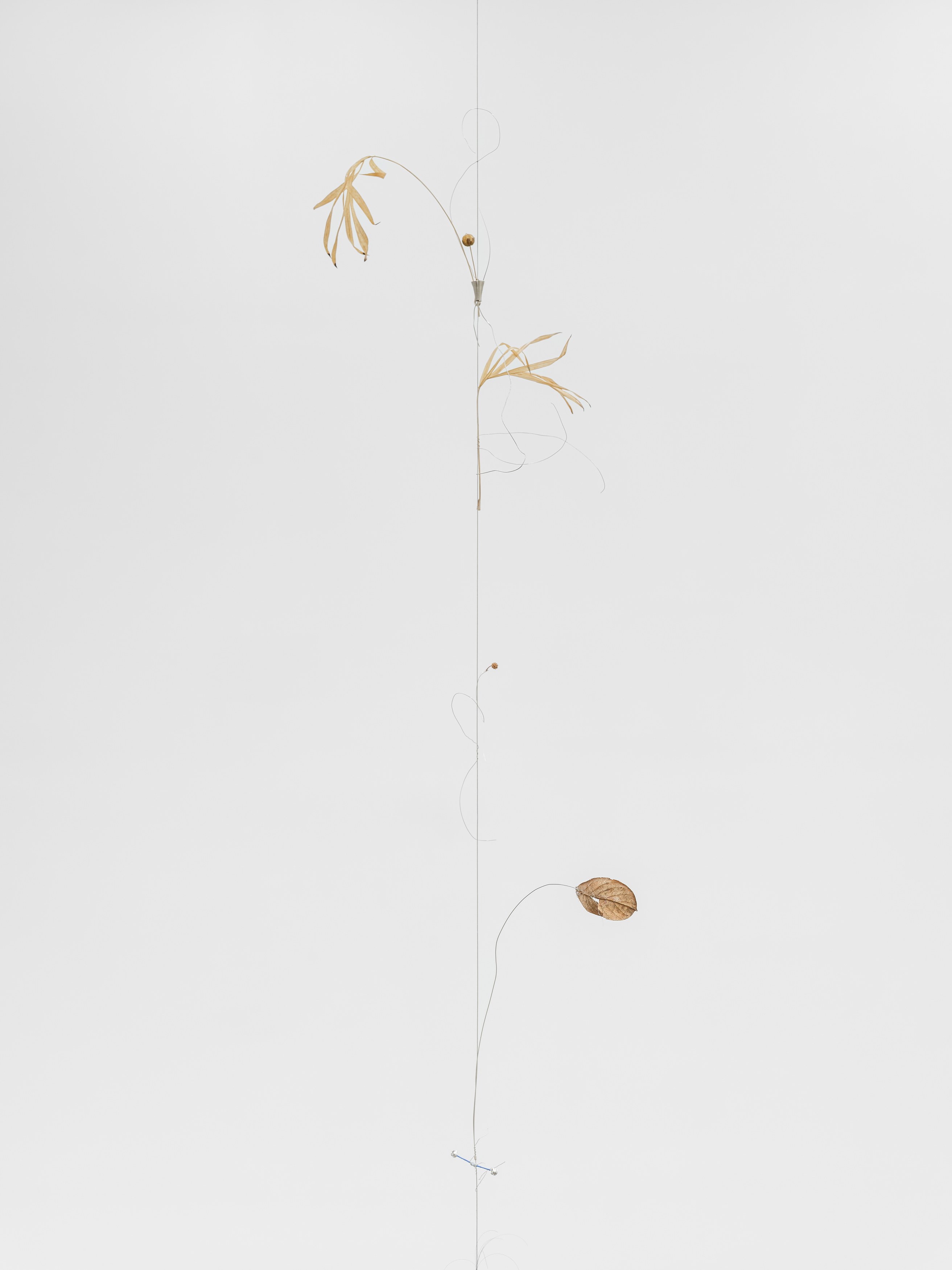 Props, Props at Galerie Derouillon, photo 27