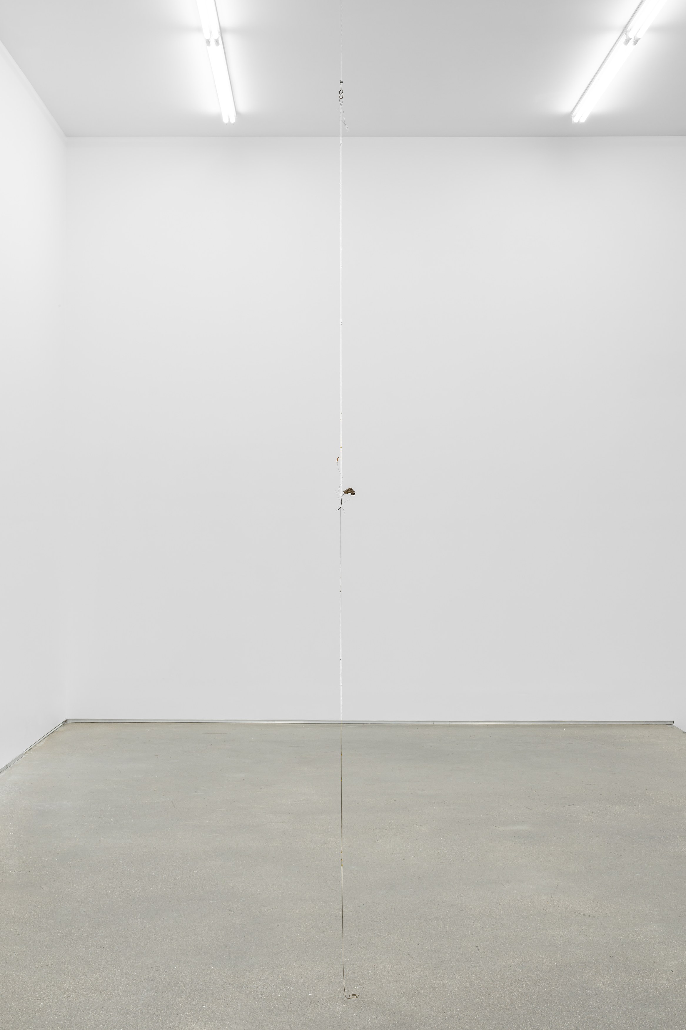 Props, Props at Galerie Derouillon, photo 37