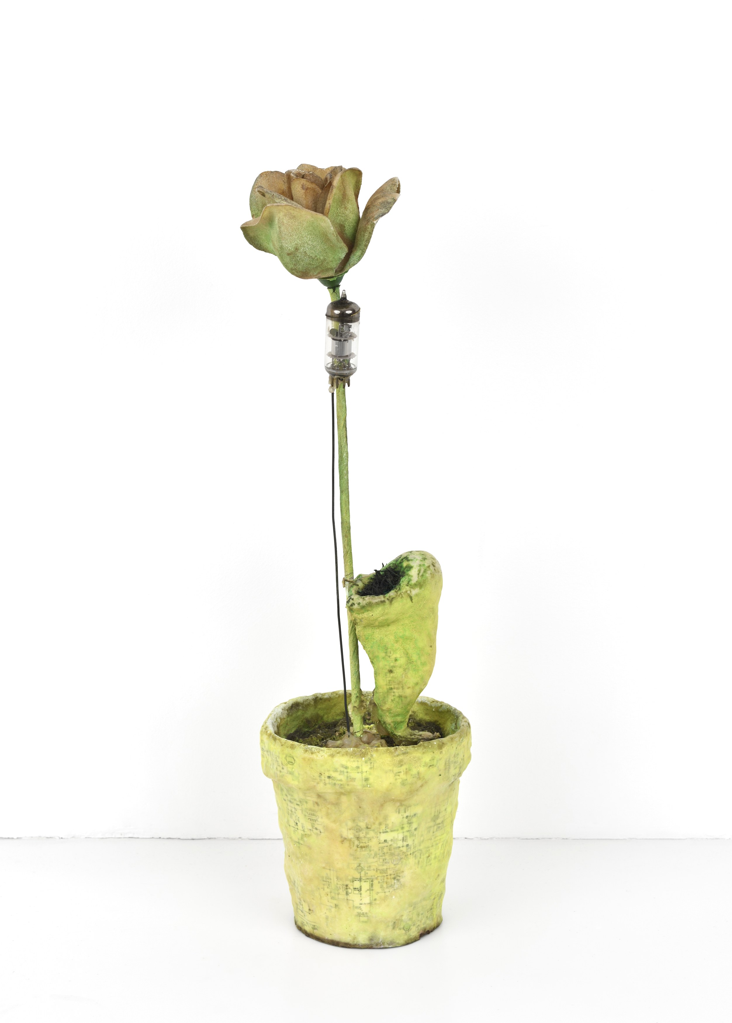 Props, Props at Galerie Derouillon, photo 44