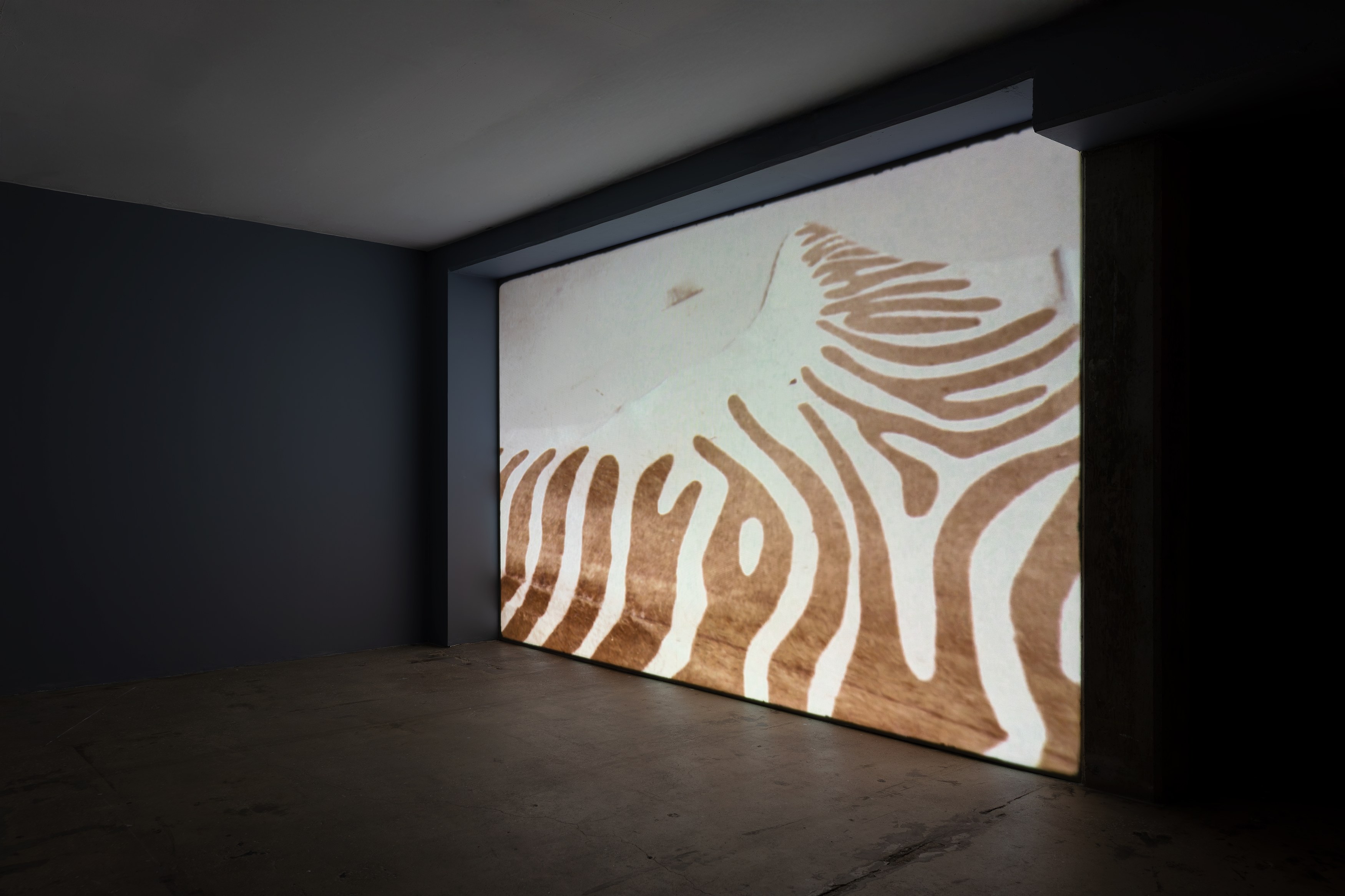 Deborah-Joyce Holman, Close-Up at Swiss Institute, photo 3