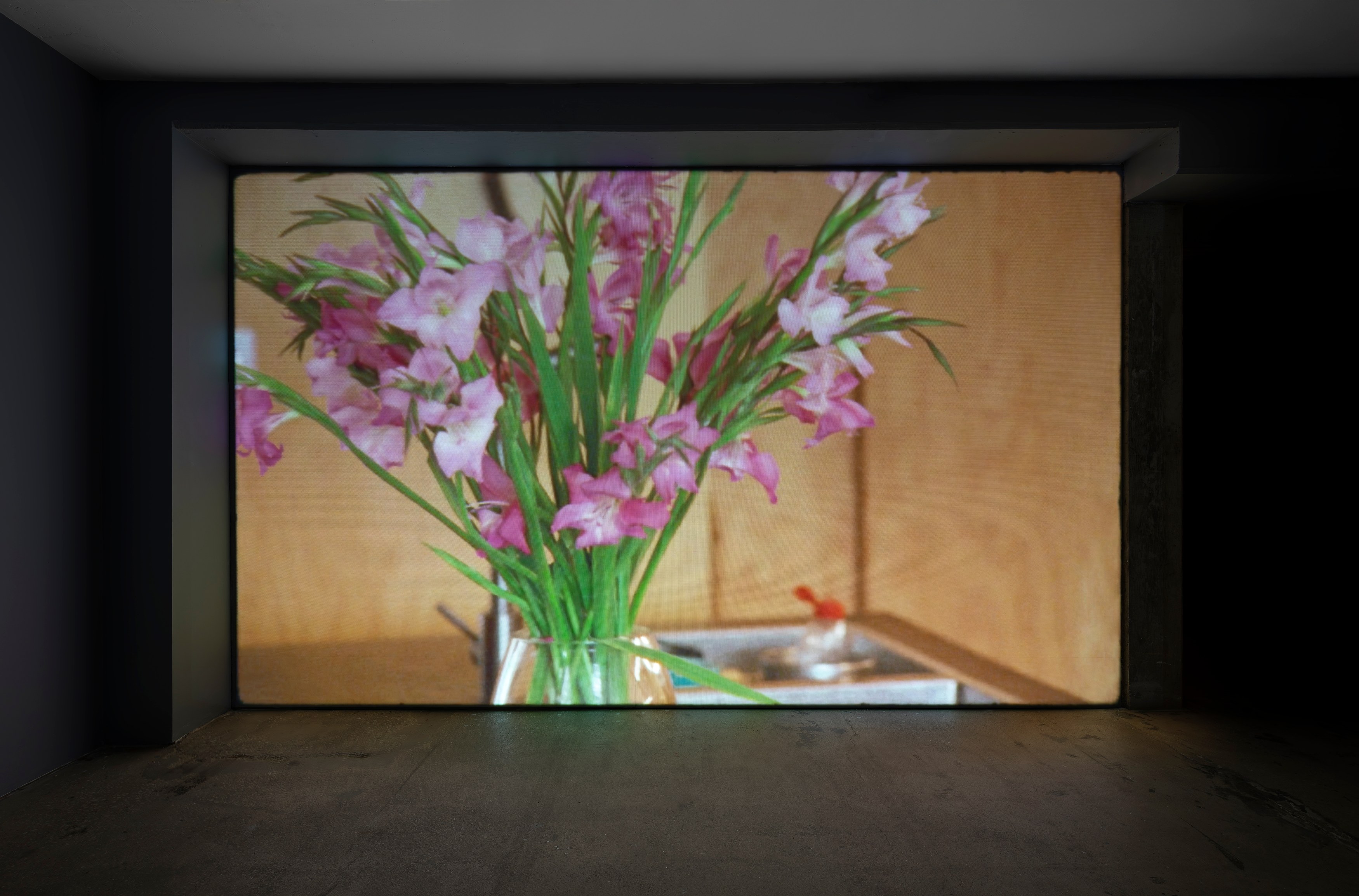 Deborah-Joyce Holman, Close-Up at Swiss Institute, photo 6