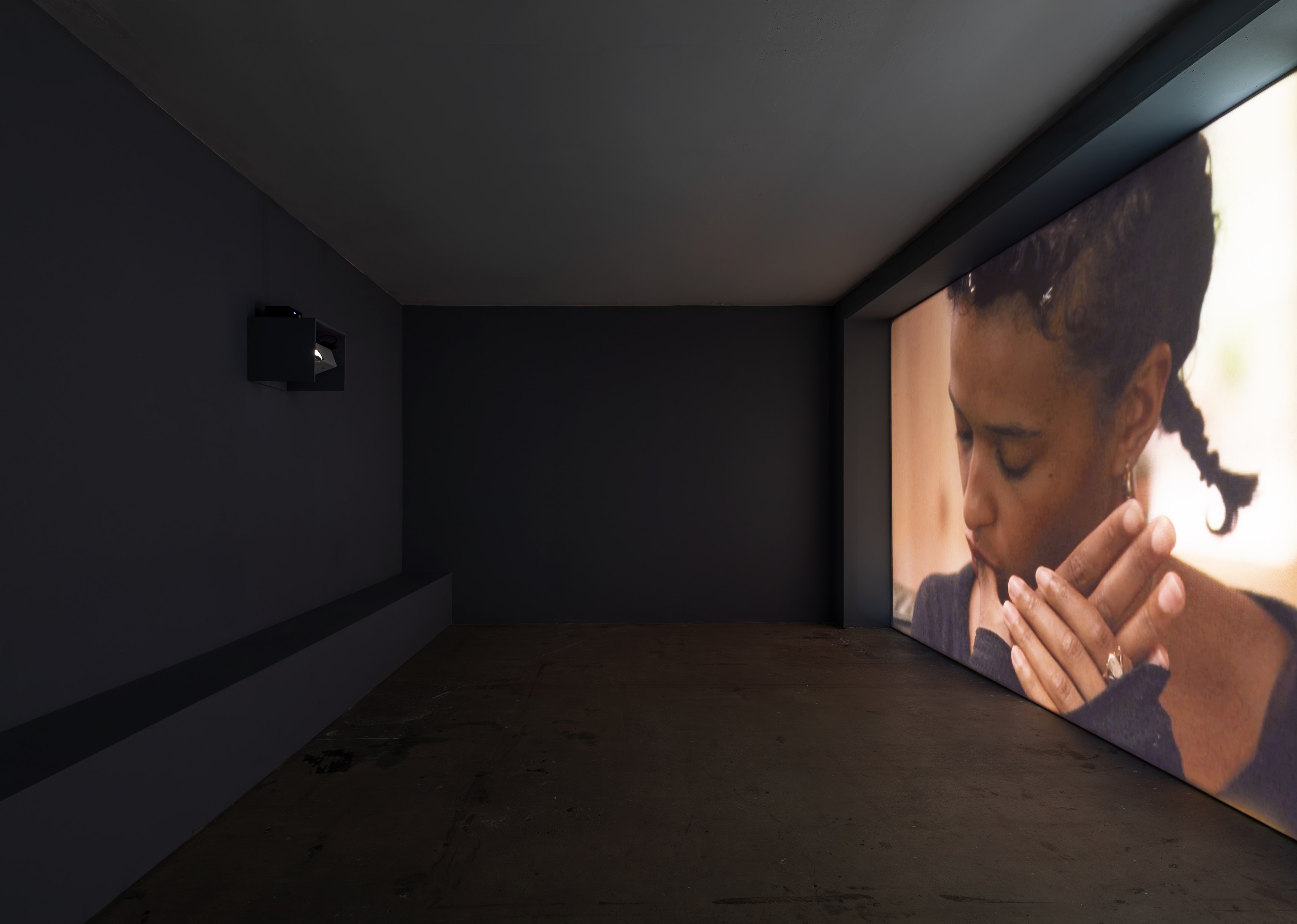 Deborah-Joyce Holman, Close-Up at Swiss Institute, photo 8