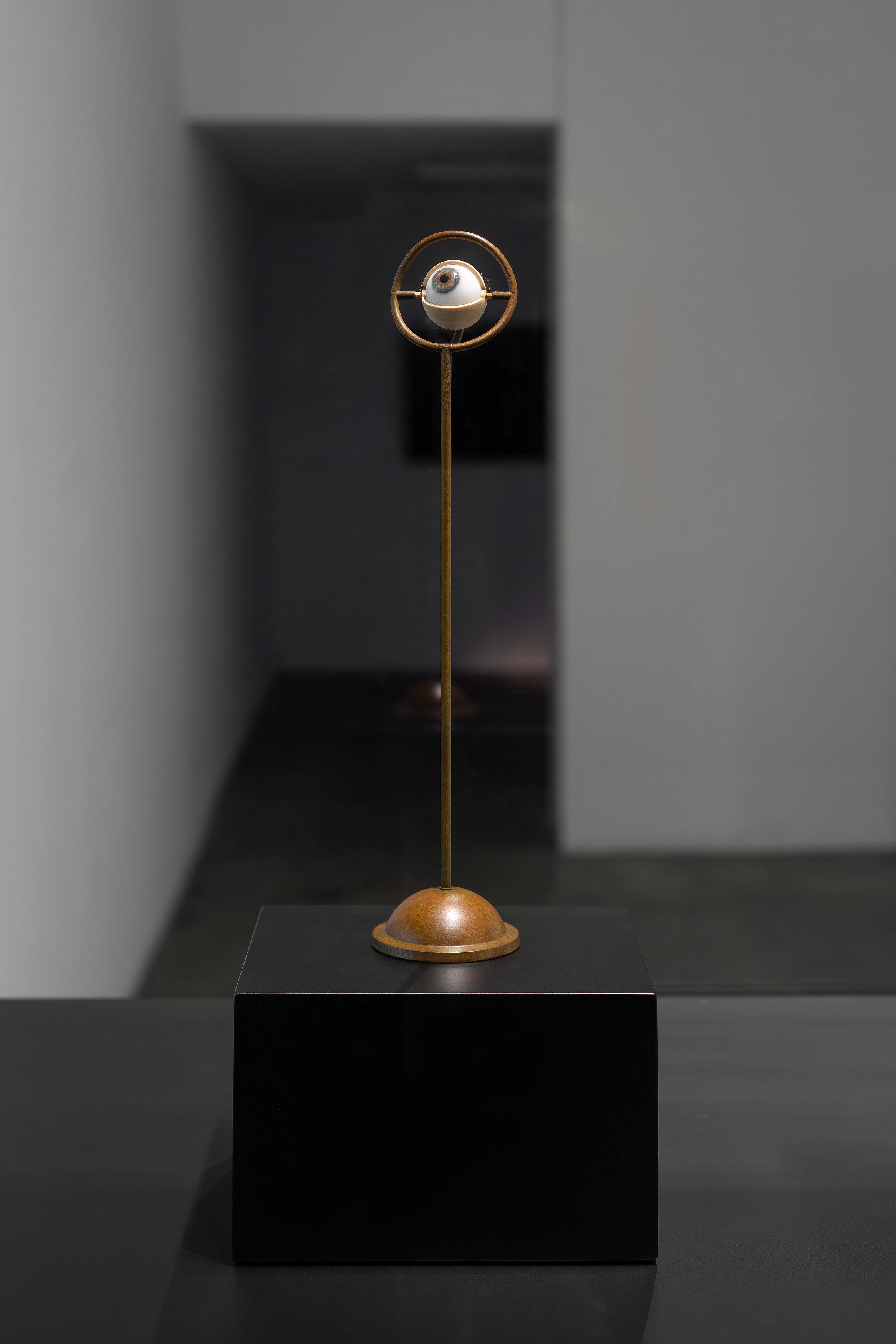 Louise Bonnet, Elizabeth King, De Anima at Swiss Institute, photo 13